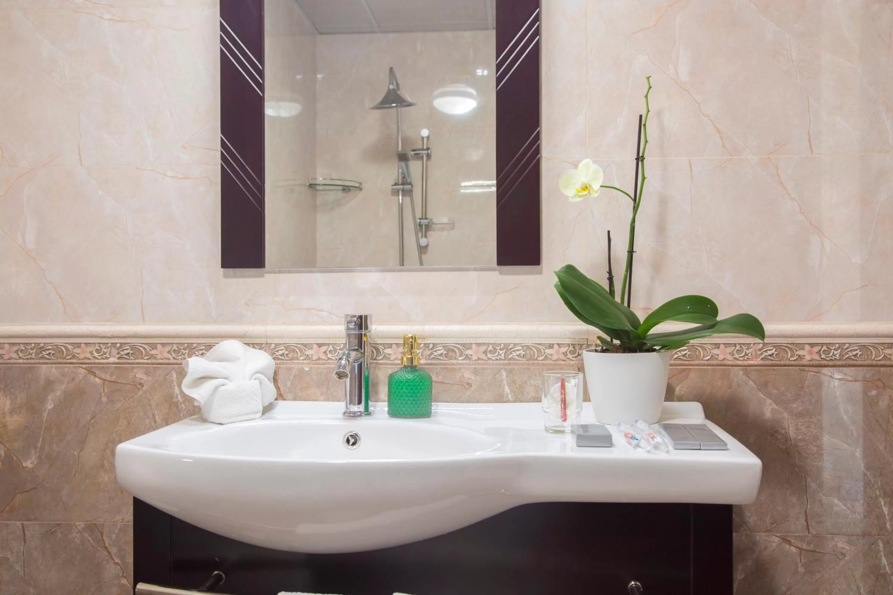 Bathroom in Hotel Aisi