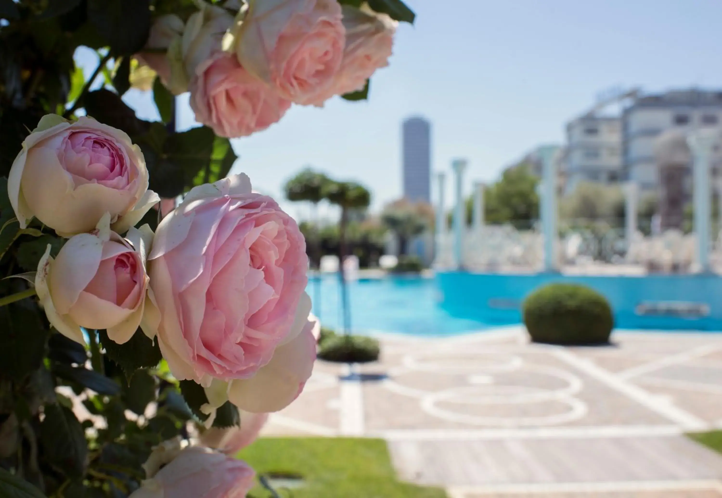 Patio, Swimming Pool in Grand Hotel Da Vinci