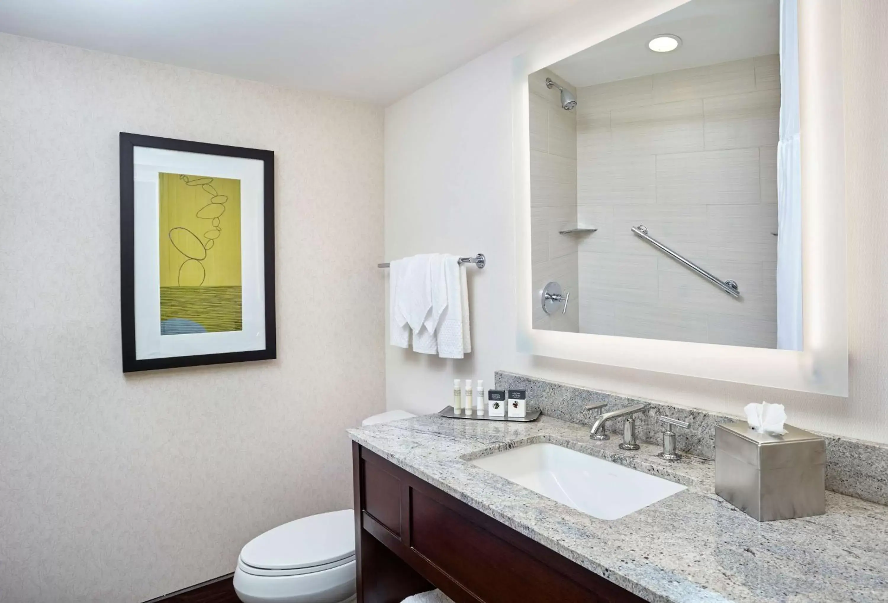 Bathroom in DoubleTree by Hilton Washington DC – Crystal City