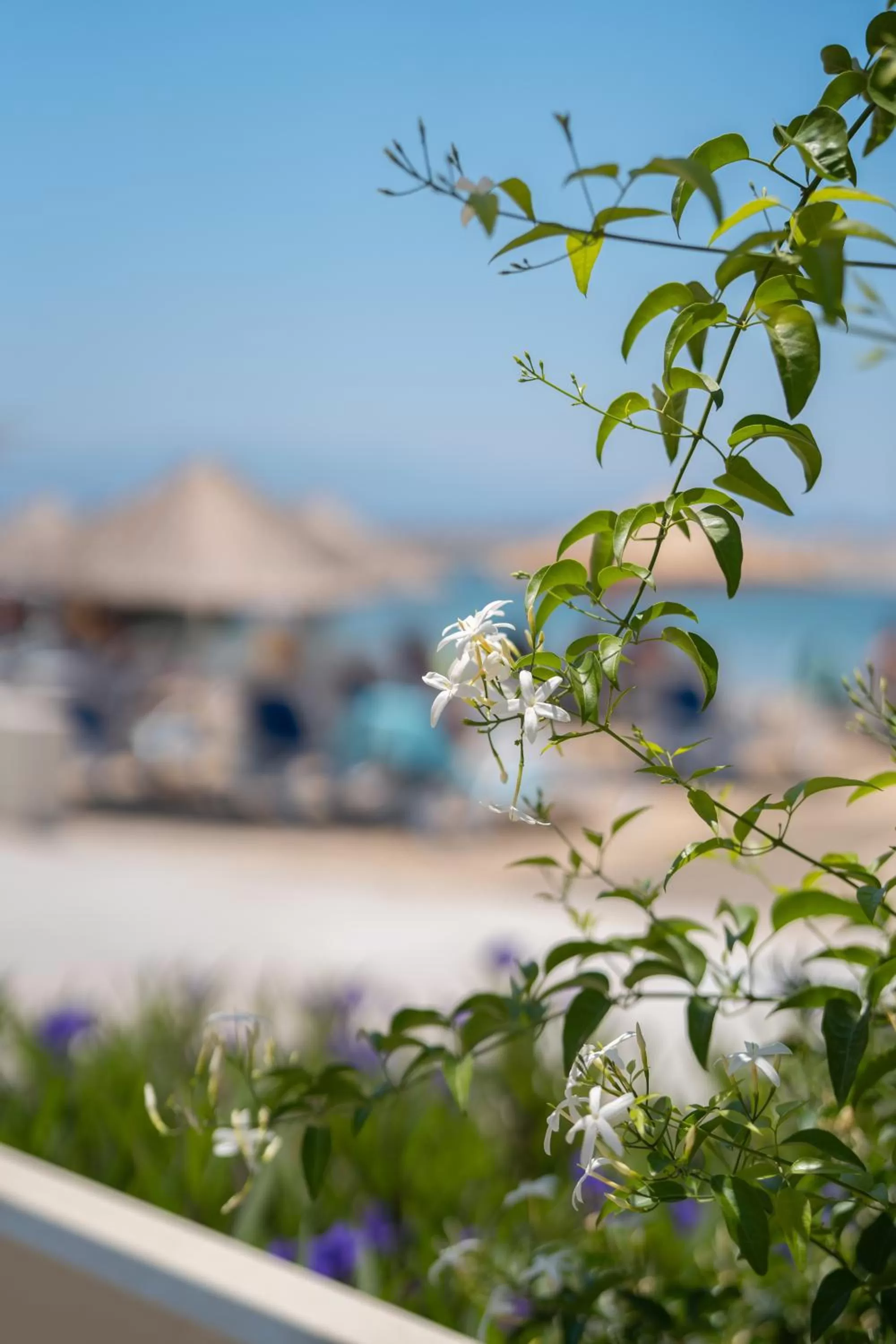 La Blanche Resort & Spa