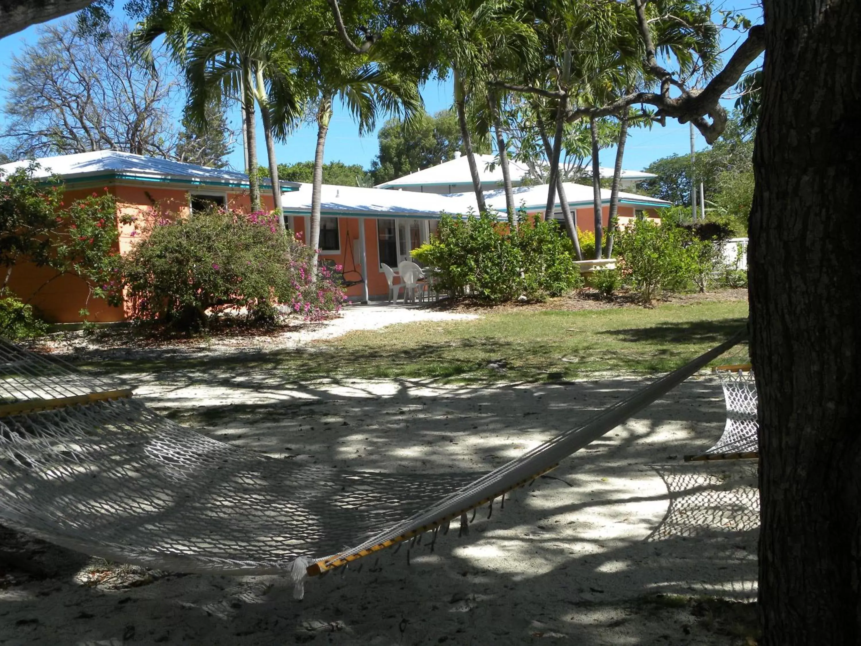 Natural landscape in Rock Reef Resort