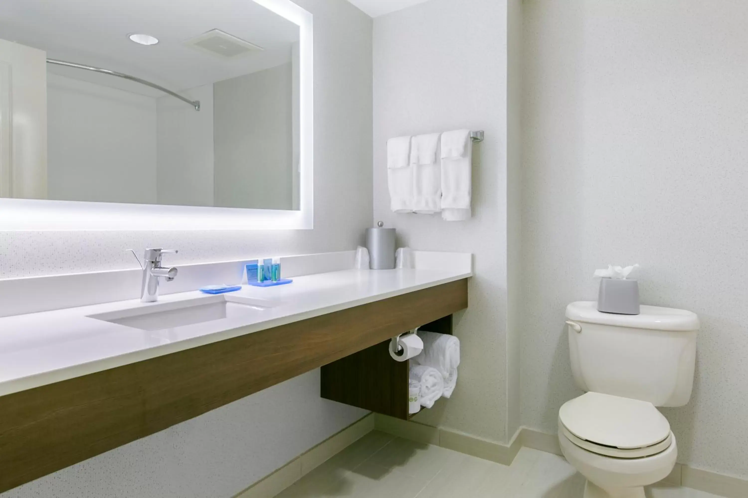 Bathroom in Holiday Inn Express Mount Arlington, an IHG Hotel