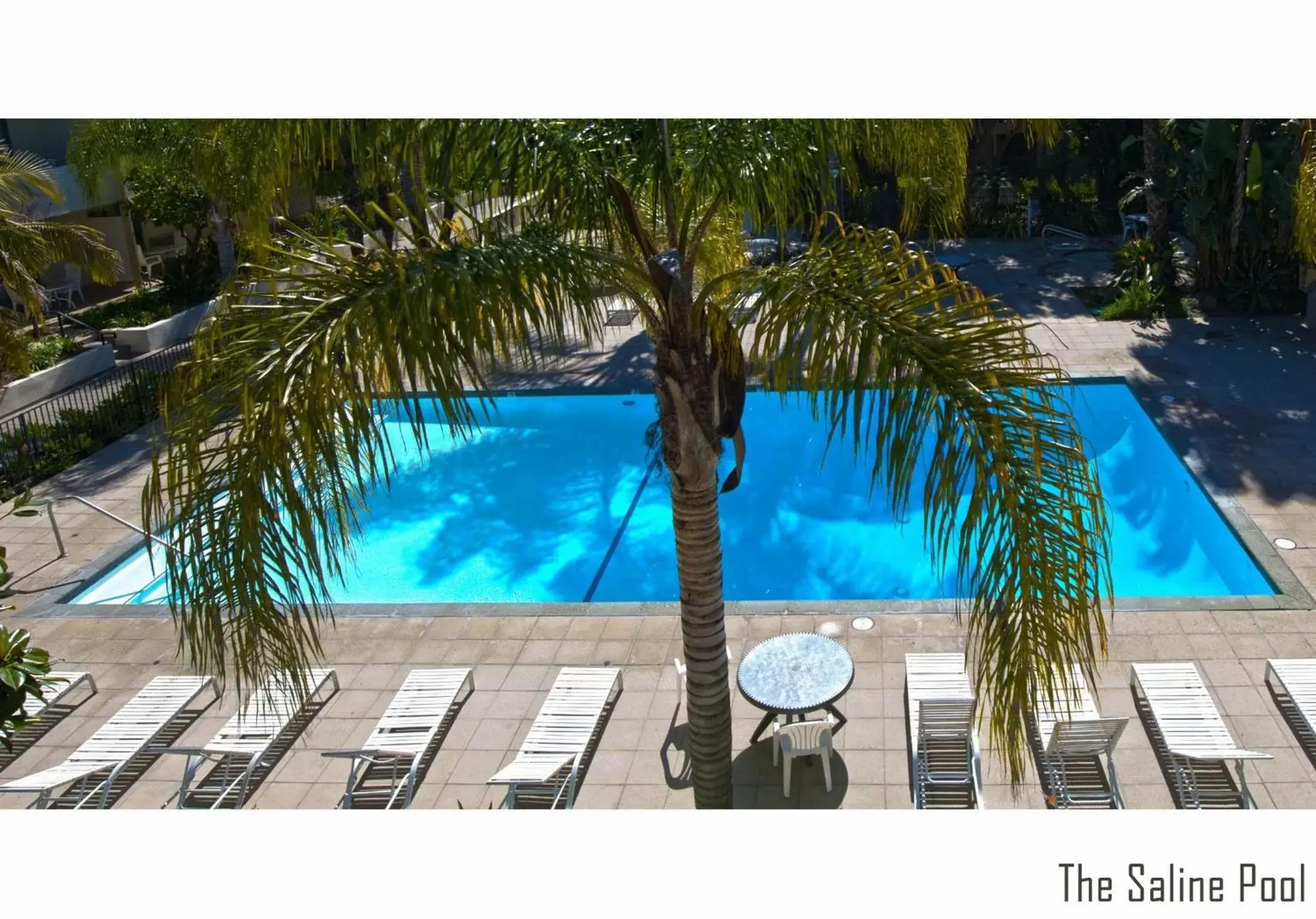 Swimming pool, Pool View in Lemon Tree Inn