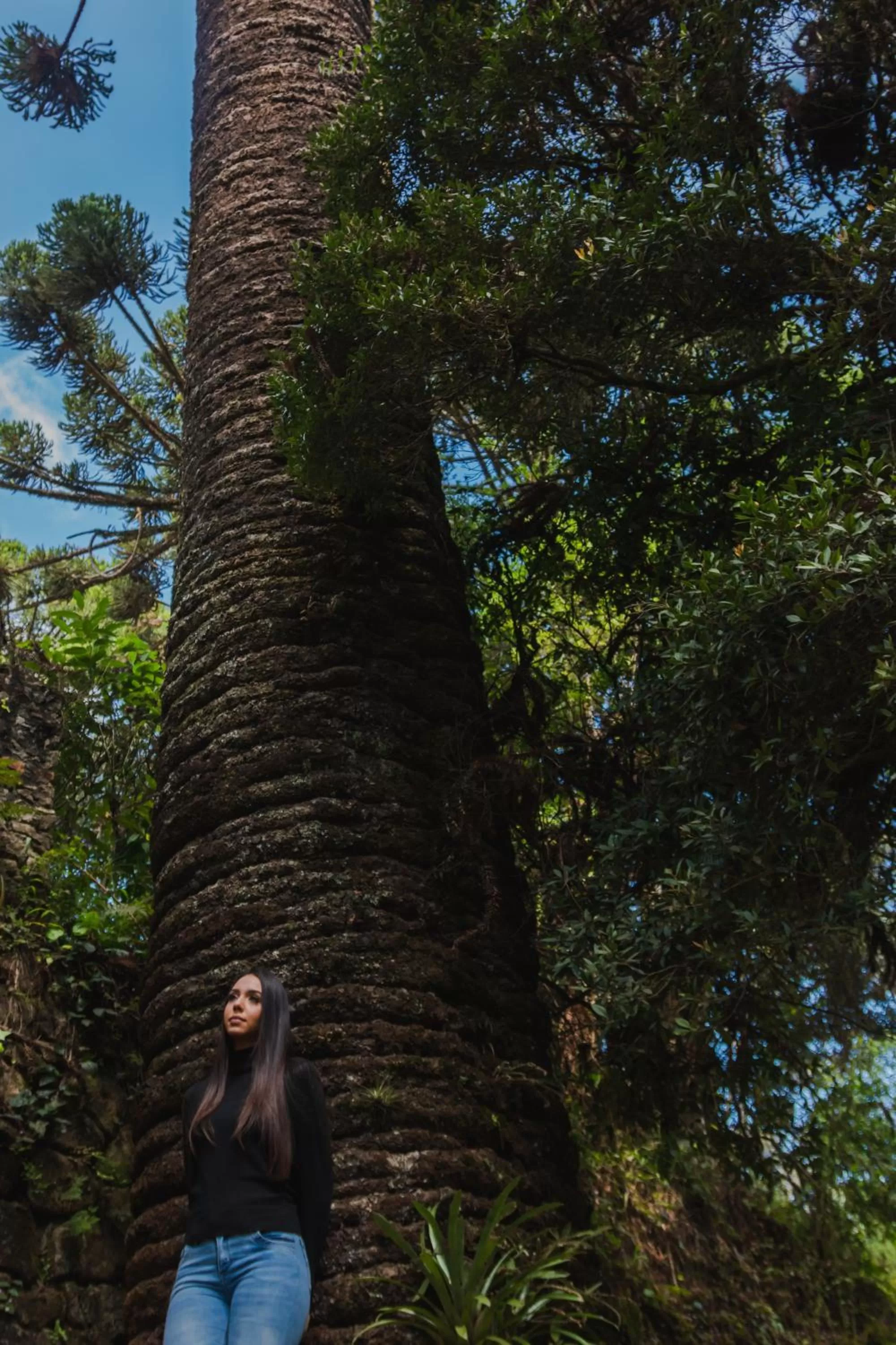 Natural landscape in Green Village Hotel