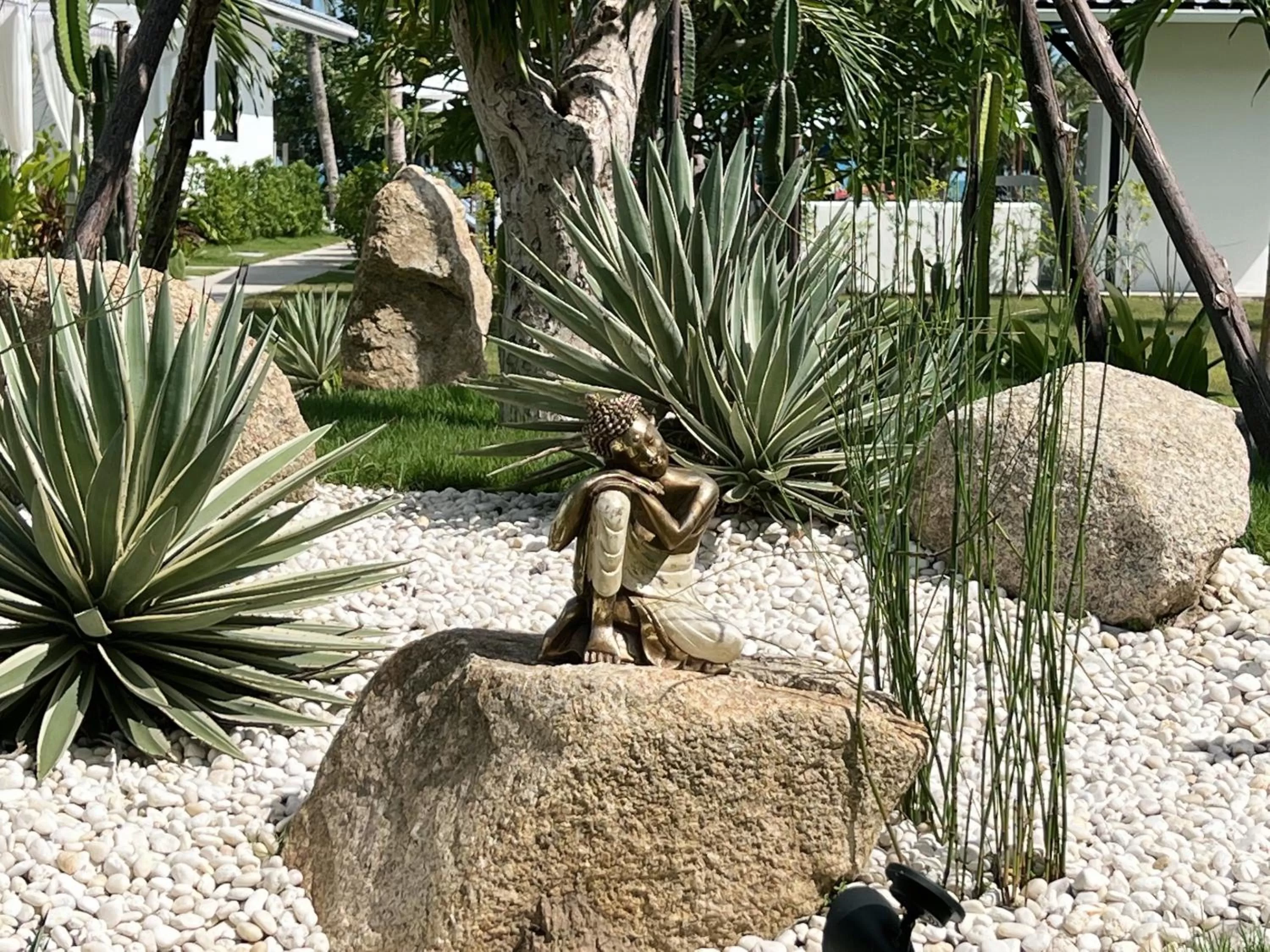 Garden in Pearl of Samui Resort