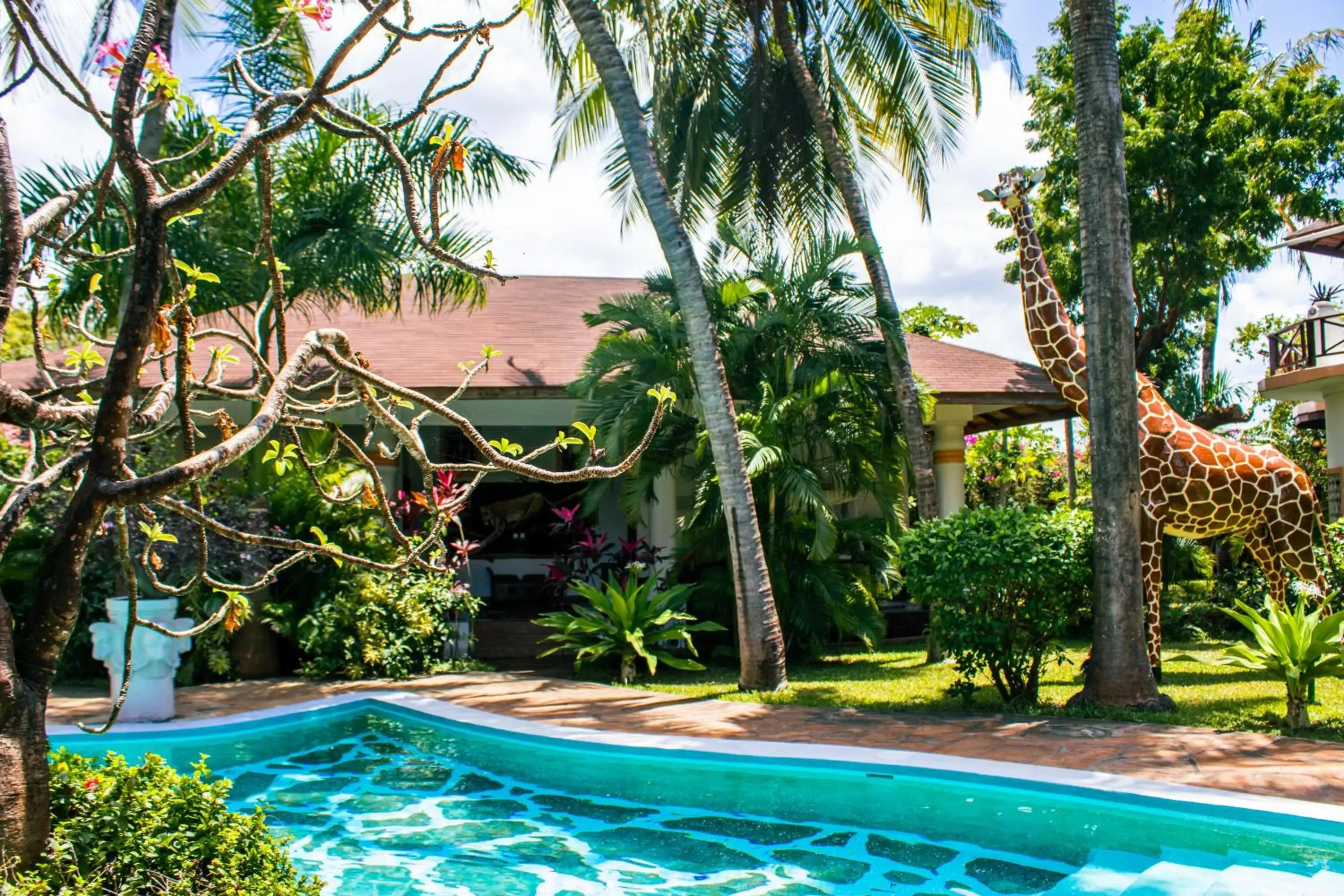 Guests, Swimming Pool in African House Resort
