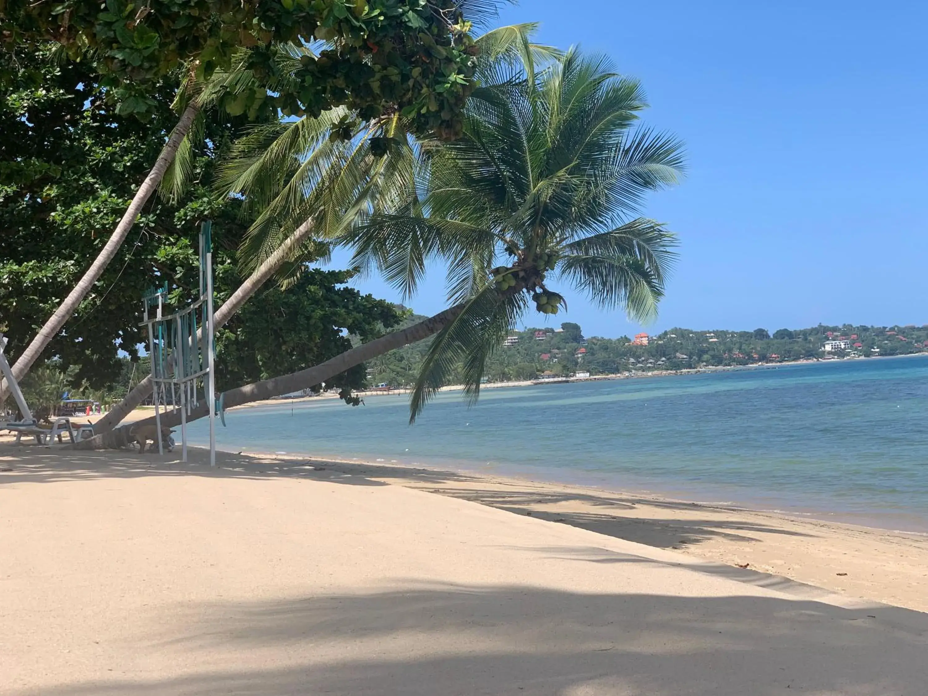 Beach in Sand Sea Resort & Spa - Lamai Beach , Koh Samui