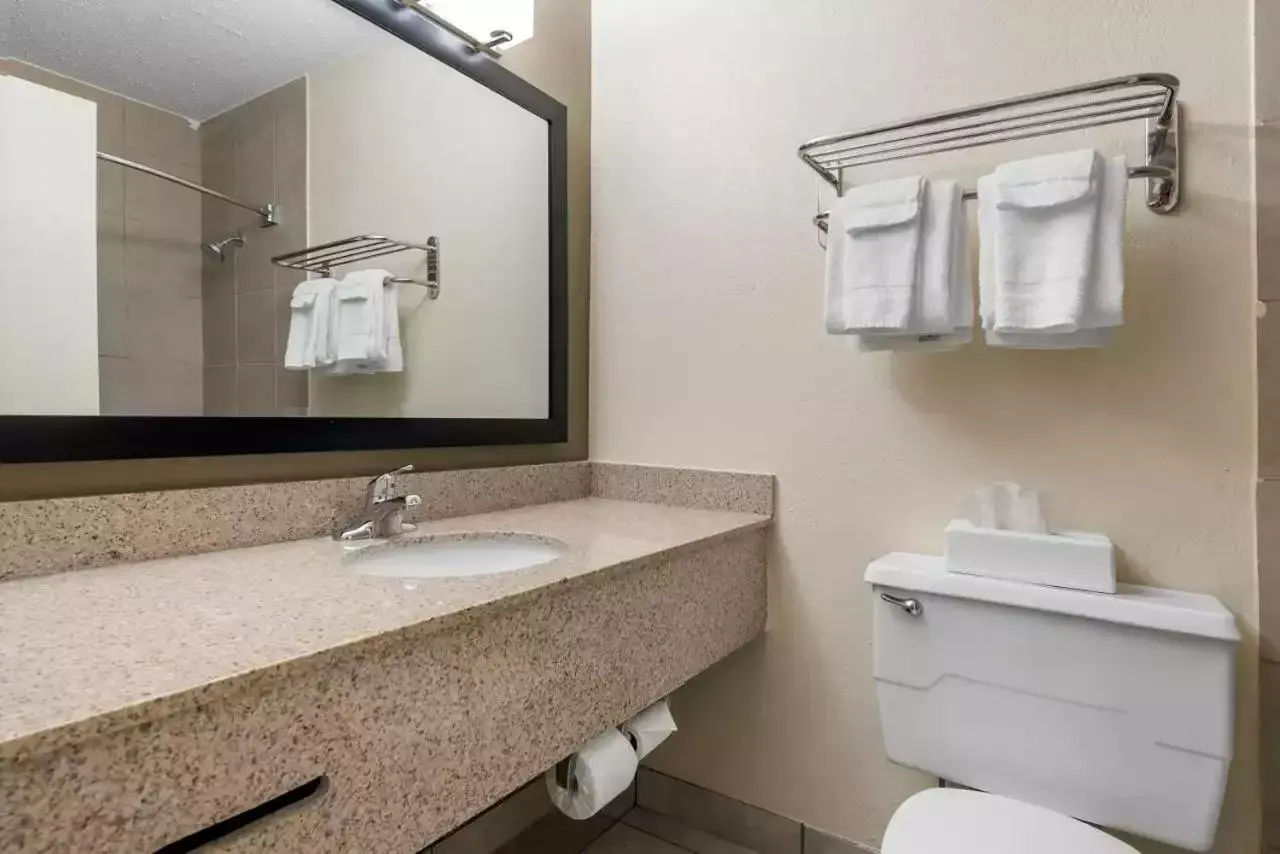Bathroom in Quality Inn & Suites Lafayette I-65