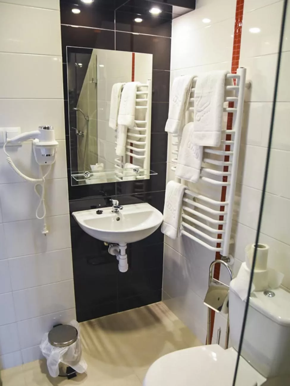 Shower in Willa Szczepaniakówka