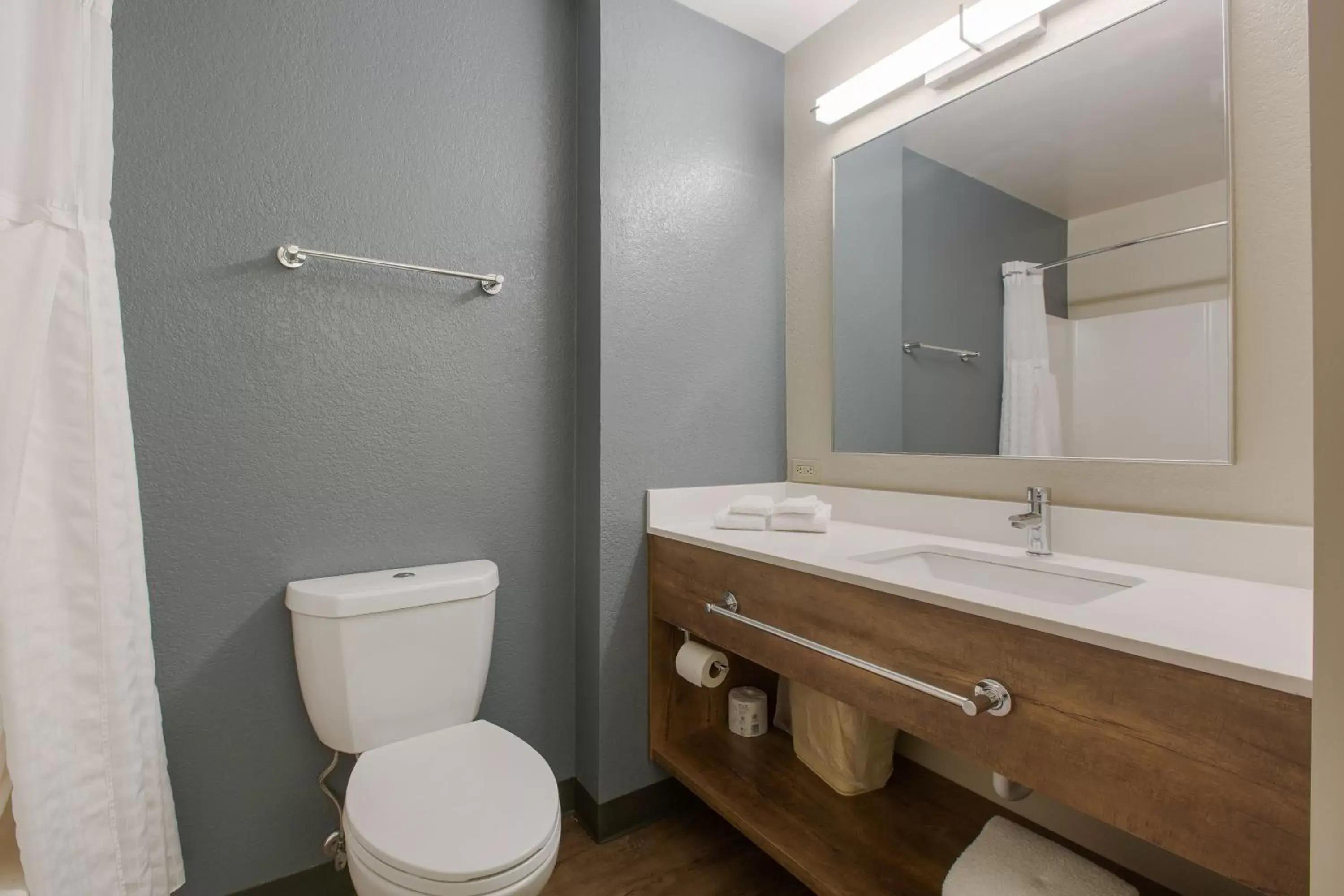 Bathroom in Extended Stay America Premier Suites - Union City - Dyer St