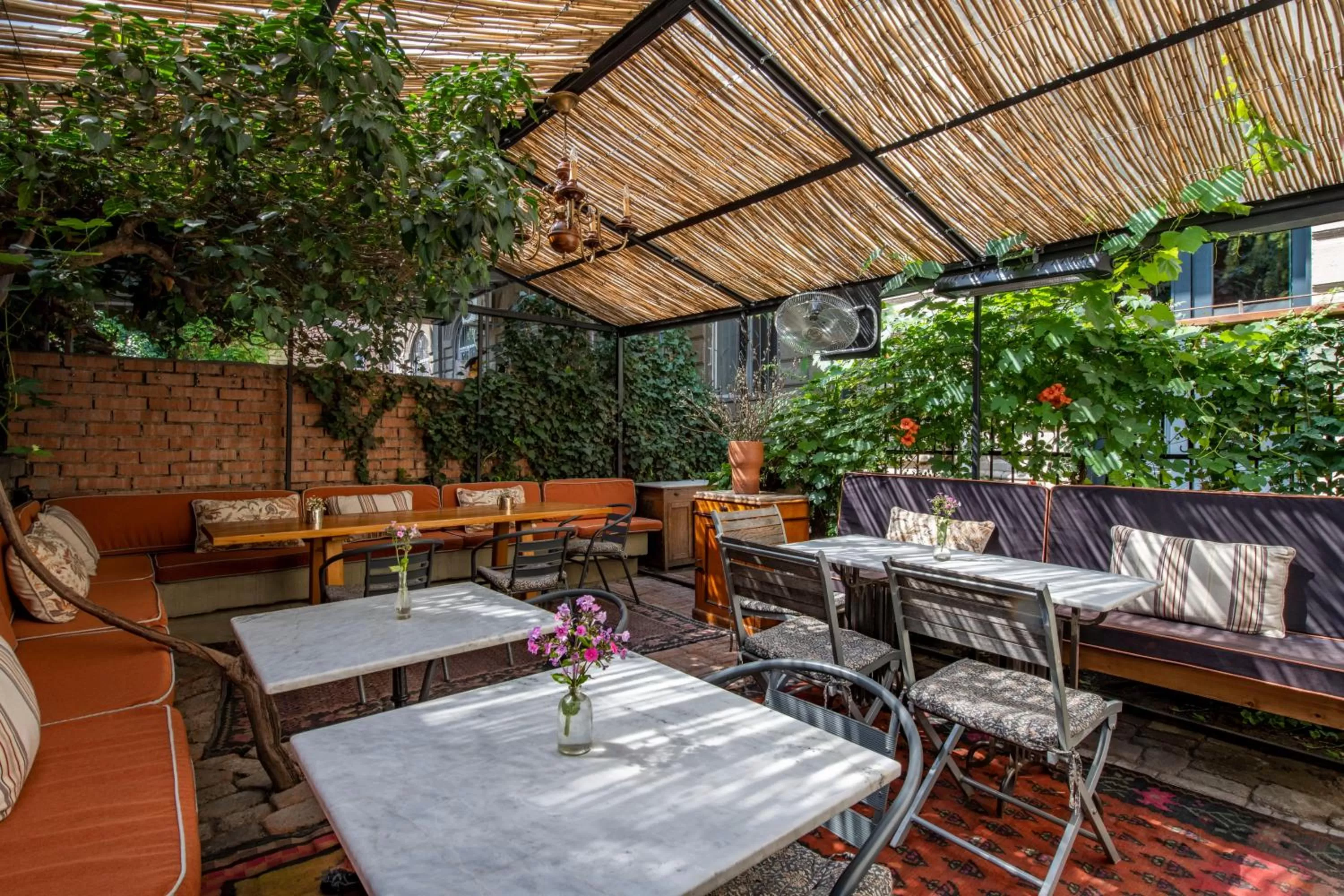 Restaurant/places to eat in Communal Hotel Plekhanovi