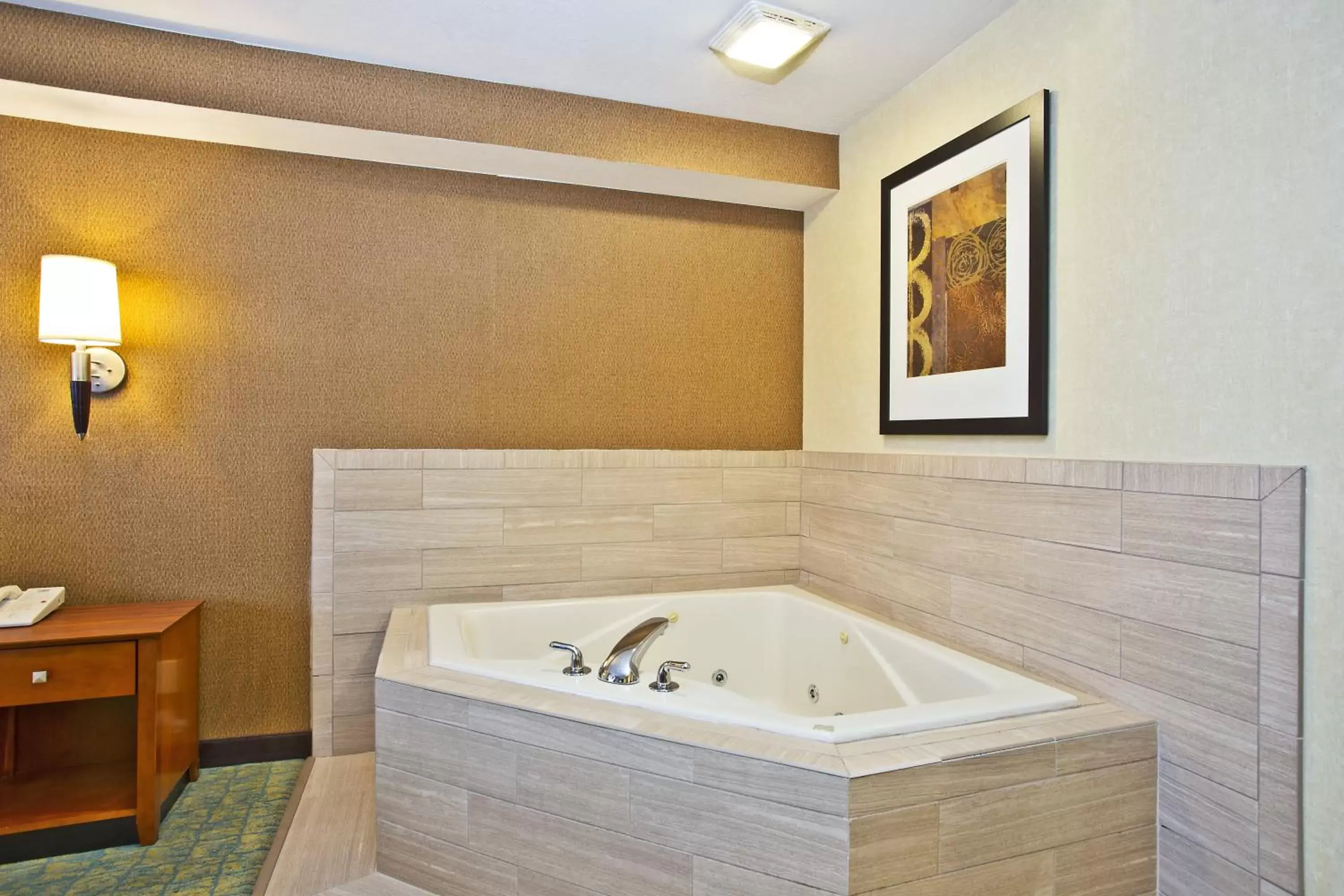 Photo of the whole room, Bathroom in Holiday Inn Express Hotel & Suites Wabash, an IHG Hotel