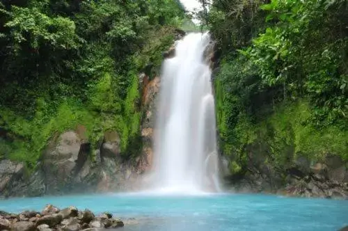 Natural Landscape in Las Brisas Resort and Villas