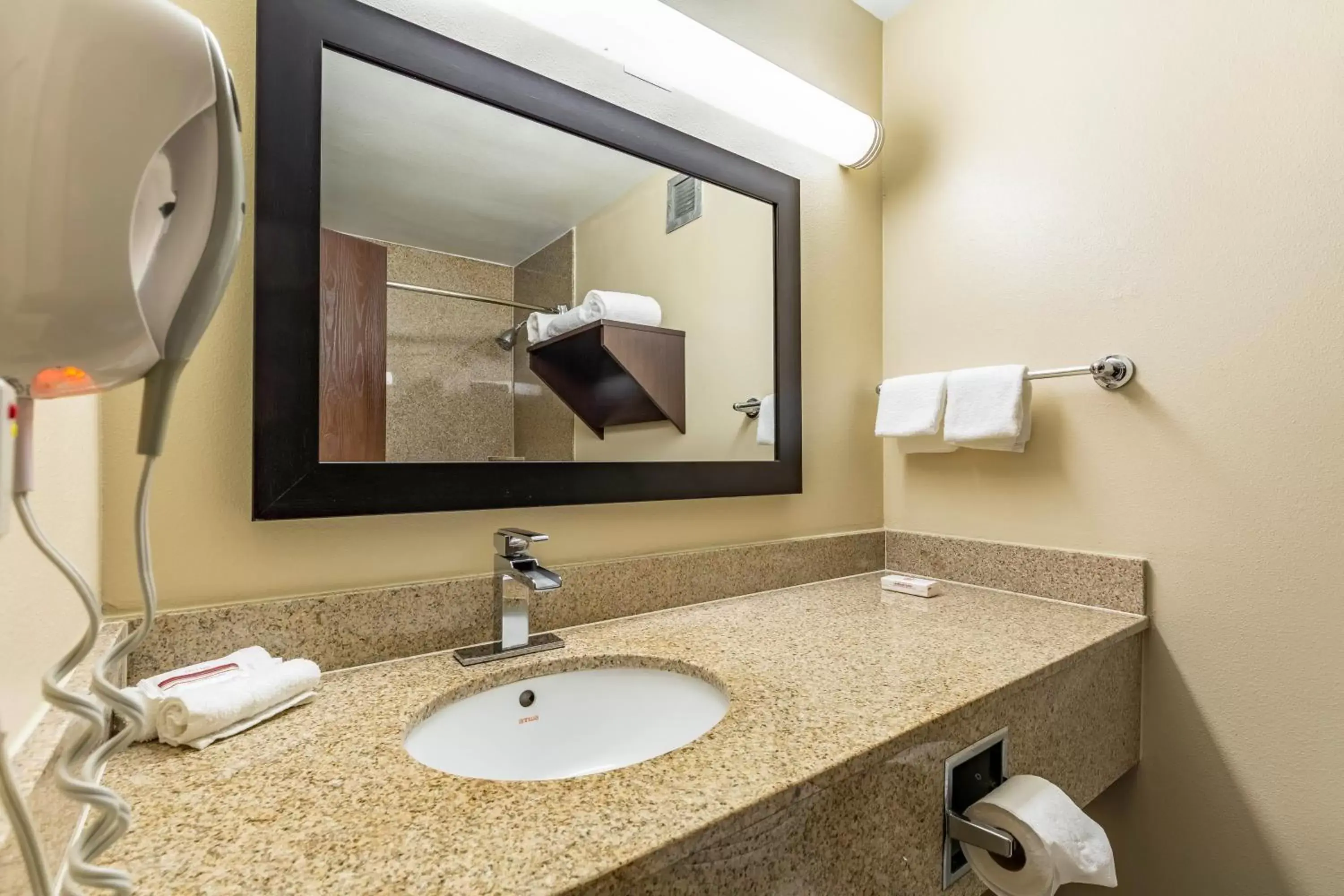 Bathroom in Red Roof Inn PLUS & Suites Houston - IAH Airport SW