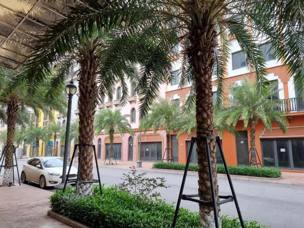 Garden in Le Cactus Hotel Ha Long