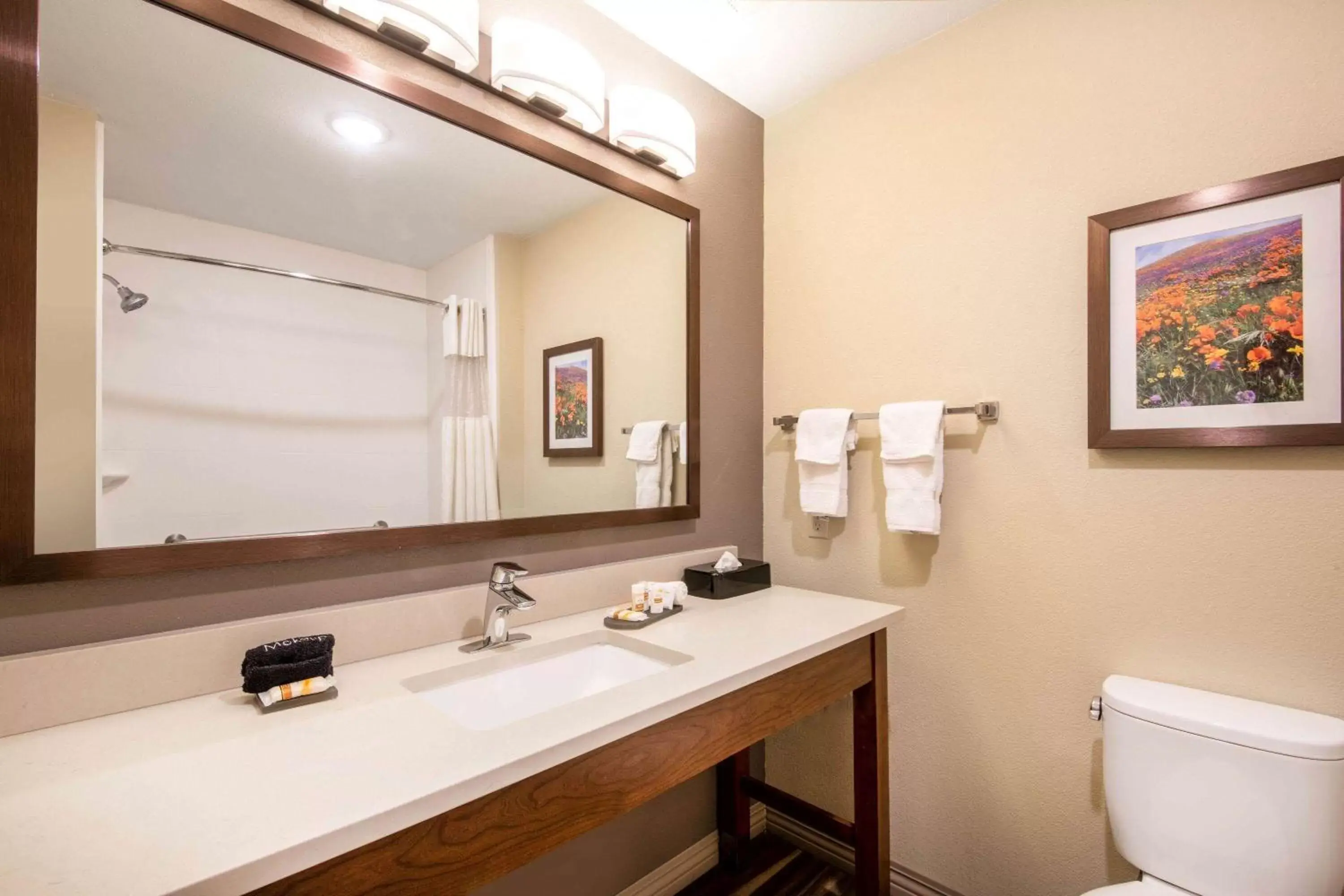 Bathroom in La Quinta by Wyndham Durango