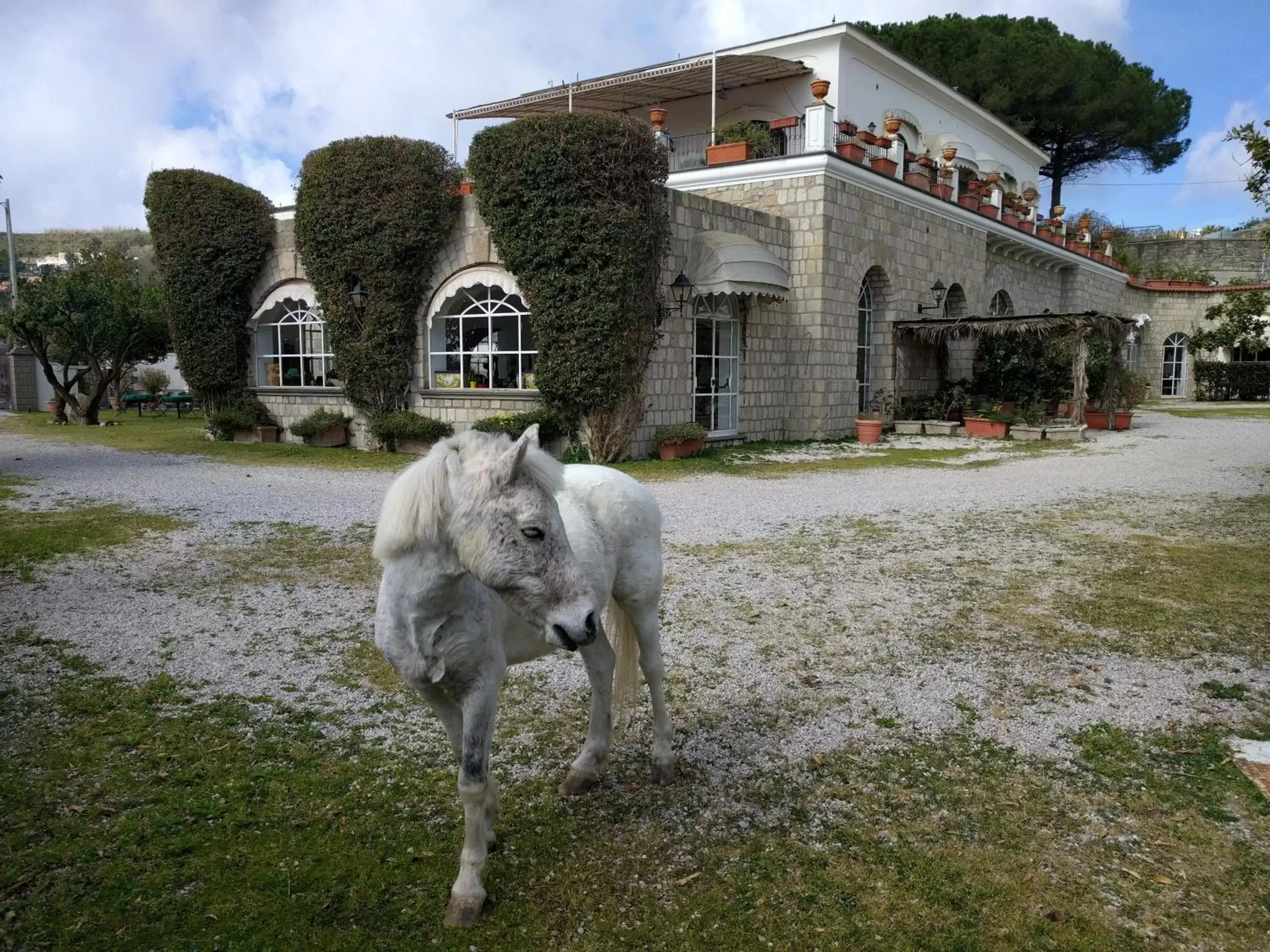 Horse-riding, Property Building in Tenuta Villa Tara