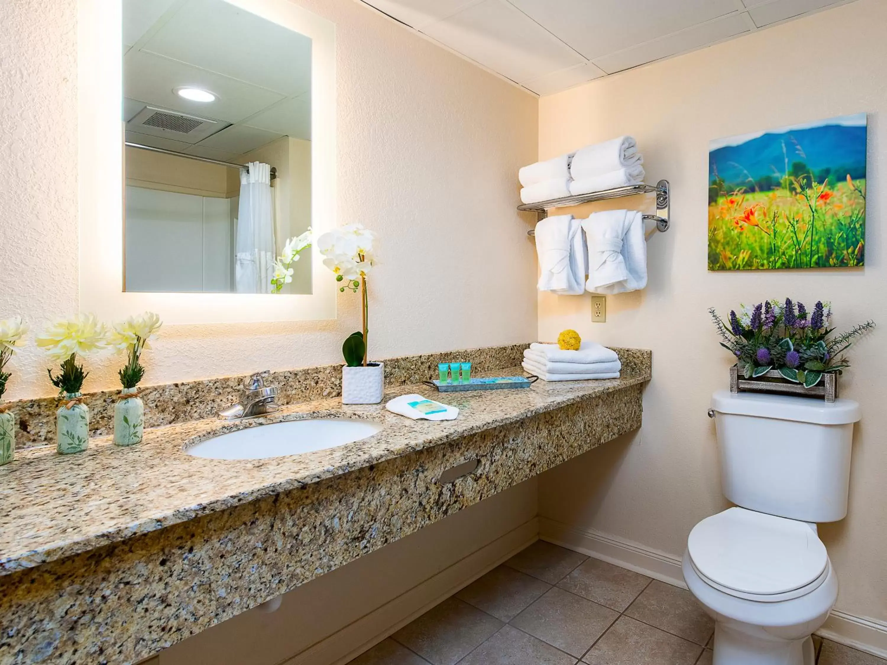 Toilet, Bathroom in Country Cascades Waterpark Resort