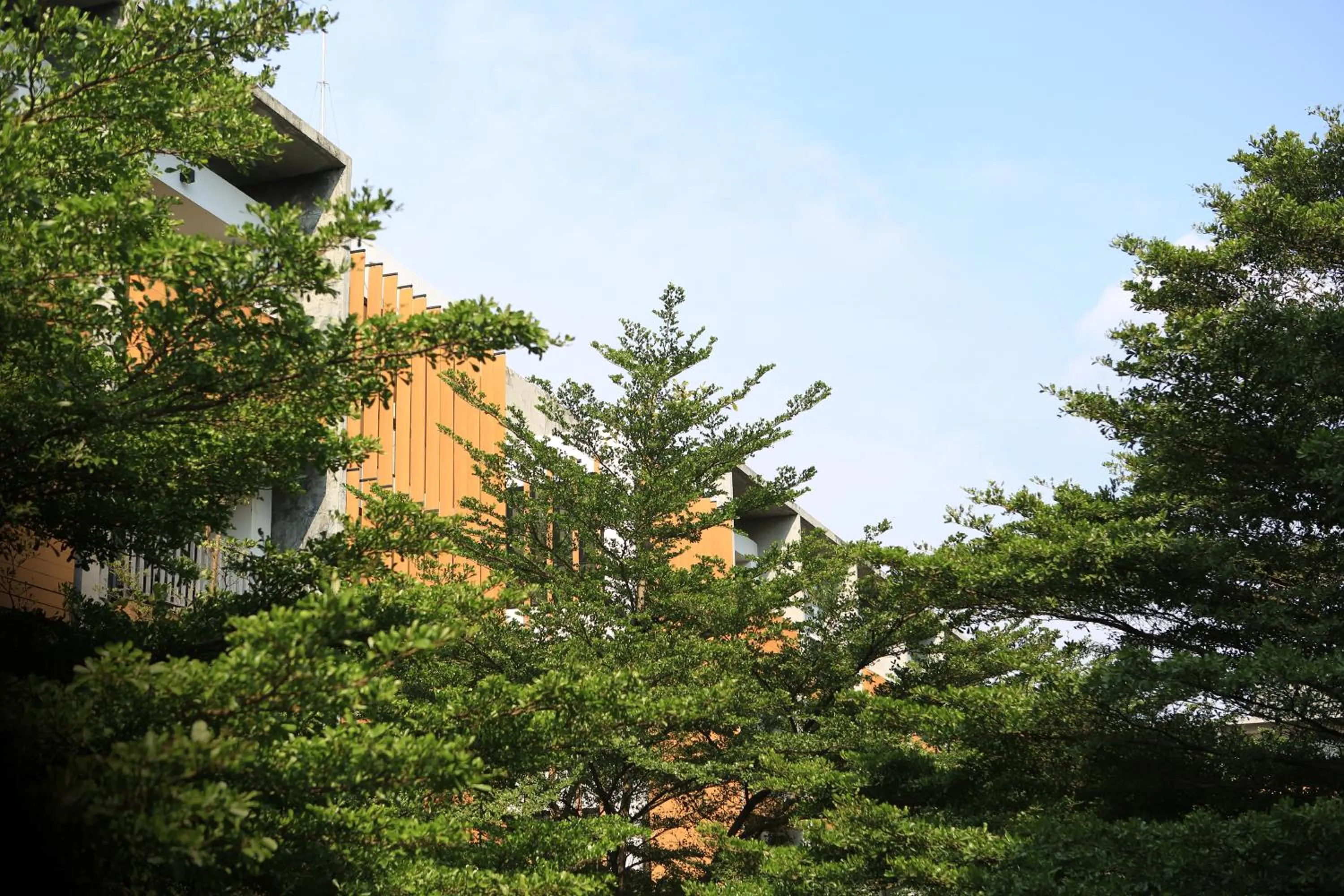 Property building in The Silver Palm Wellness Resort