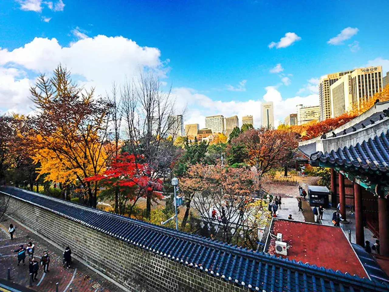 Neighbourhood in 24 Guesthouse Seoul City Hall