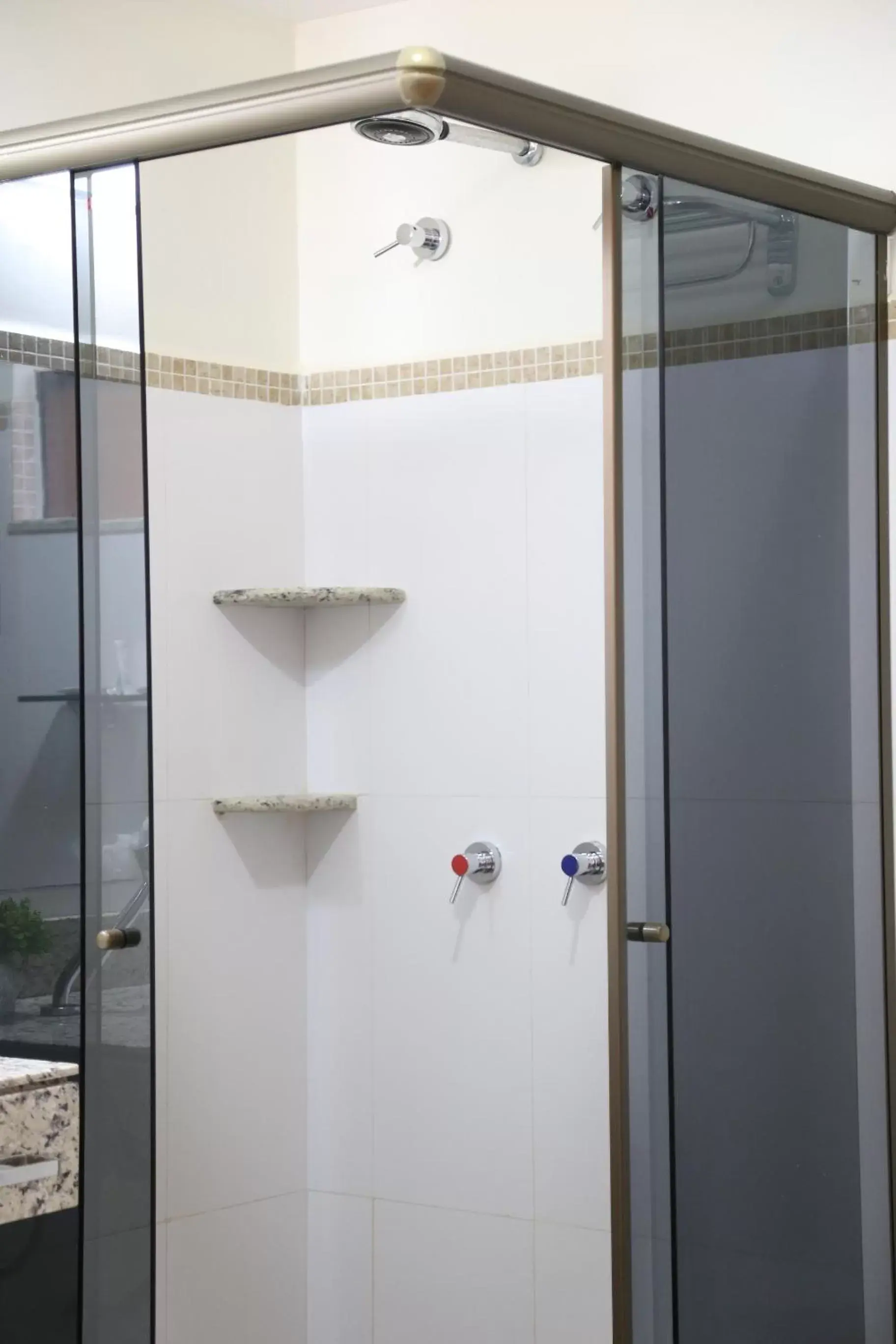 Shower, Bathroom in Larison Hotéis - Porto Velho