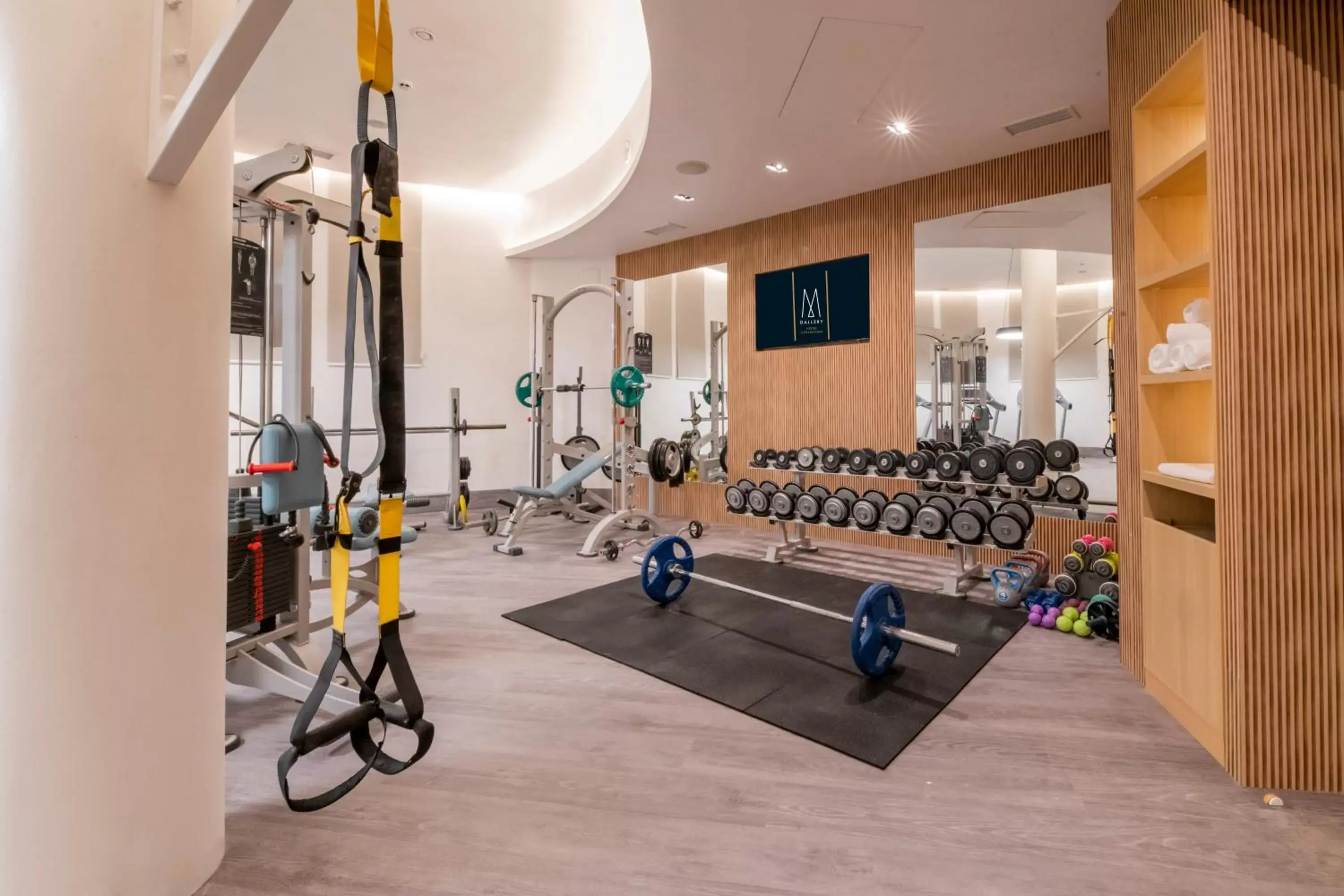 Fitness centre/facilities, Fitness Center/Facilities in Maison Sofia - MGallery