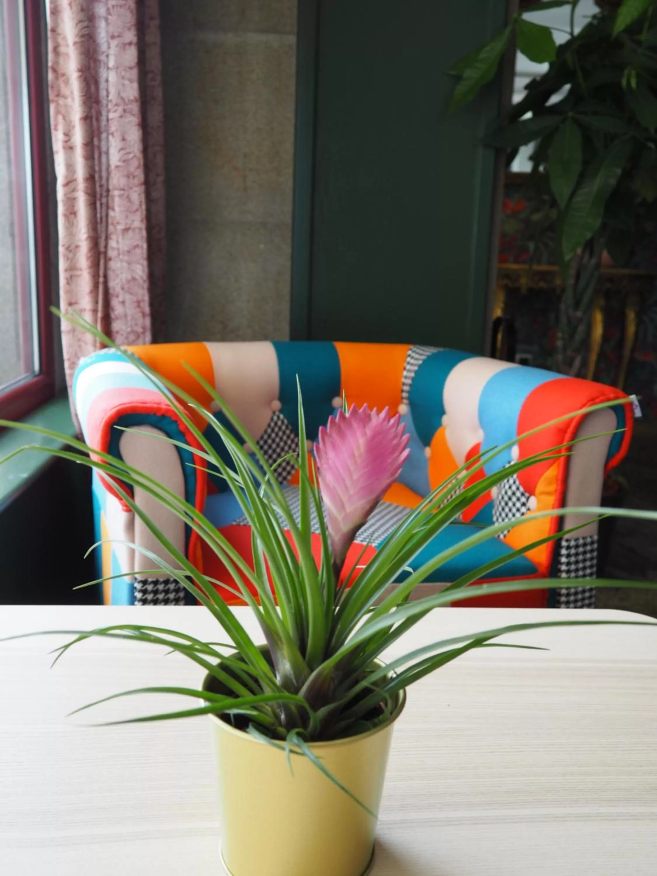 Restaurant/places to eat in Hotel Alfonso I