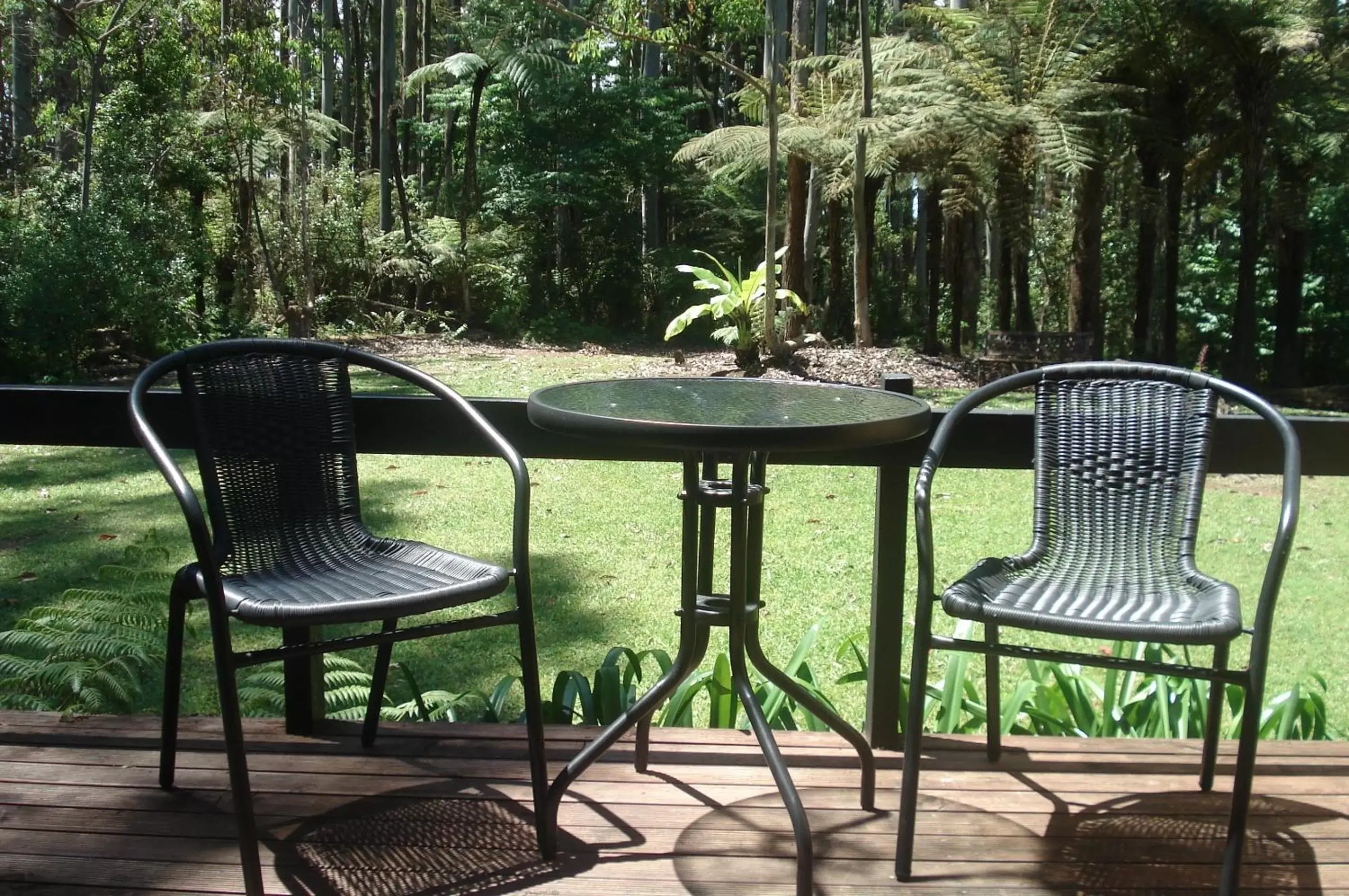 Balcony/Terrace in Woodlands Motel