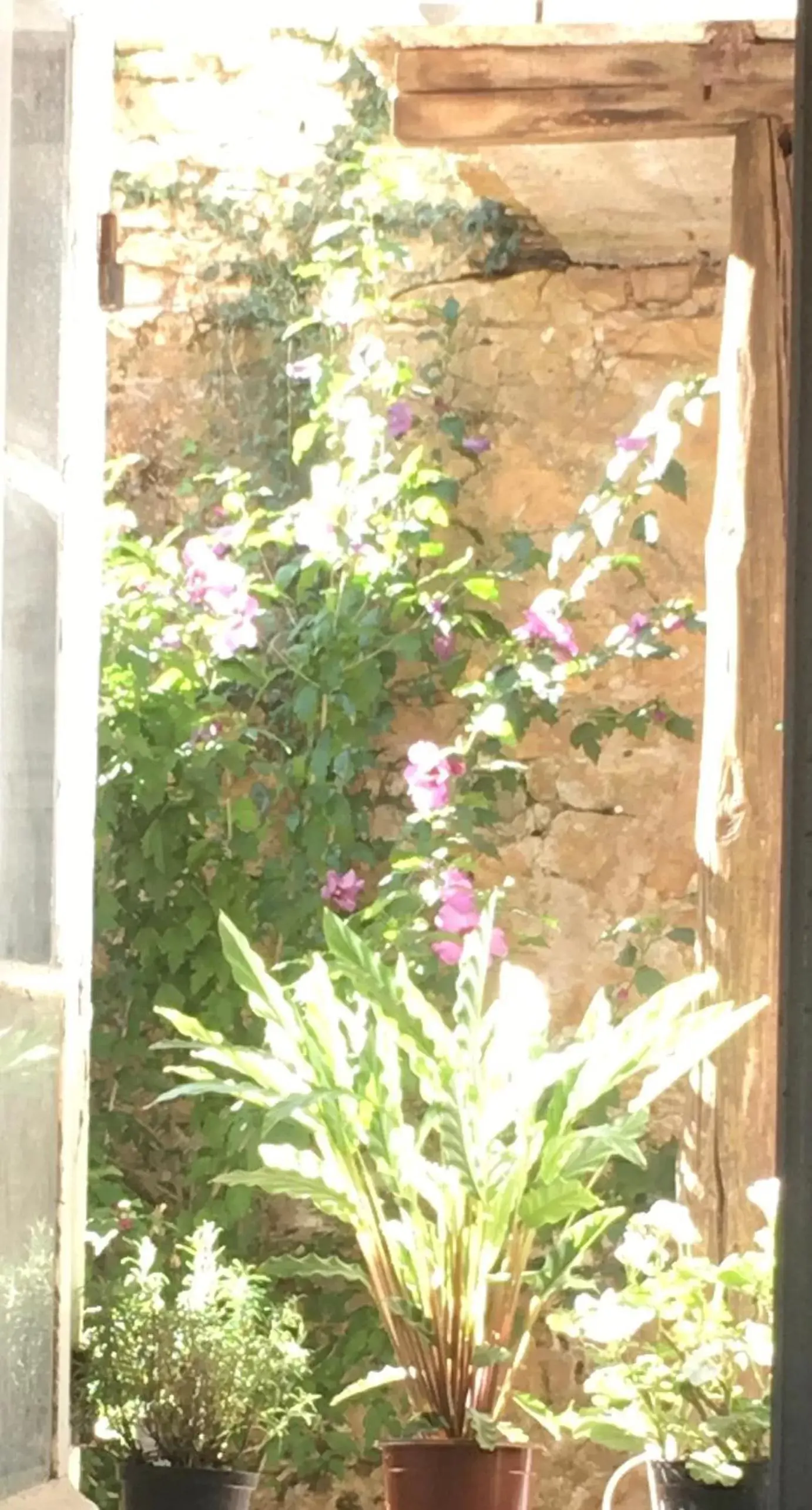 Balcony/Terrace, Other Animals in Ancien Relais de Poste The Old Post Office