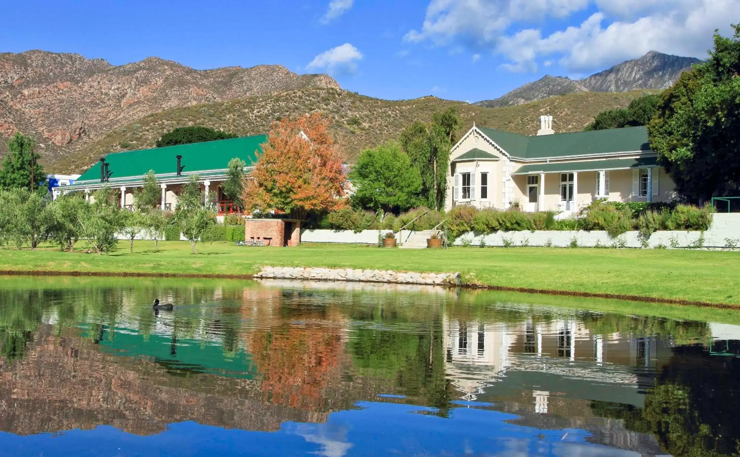 Garden, Property Building in Montagu Vines Guesthouse