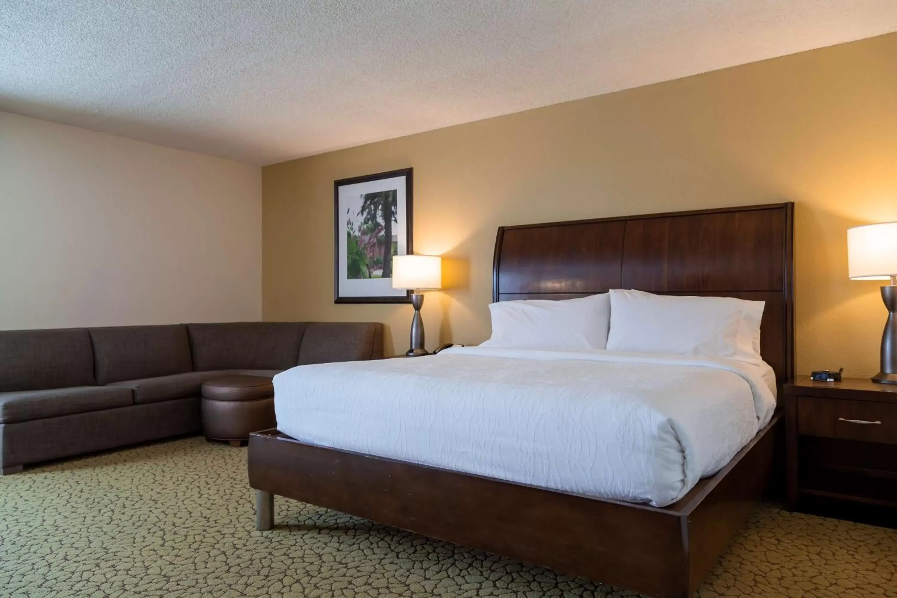 Living room, Bed in Hilton Garden Inn Orlando East - UCF Area