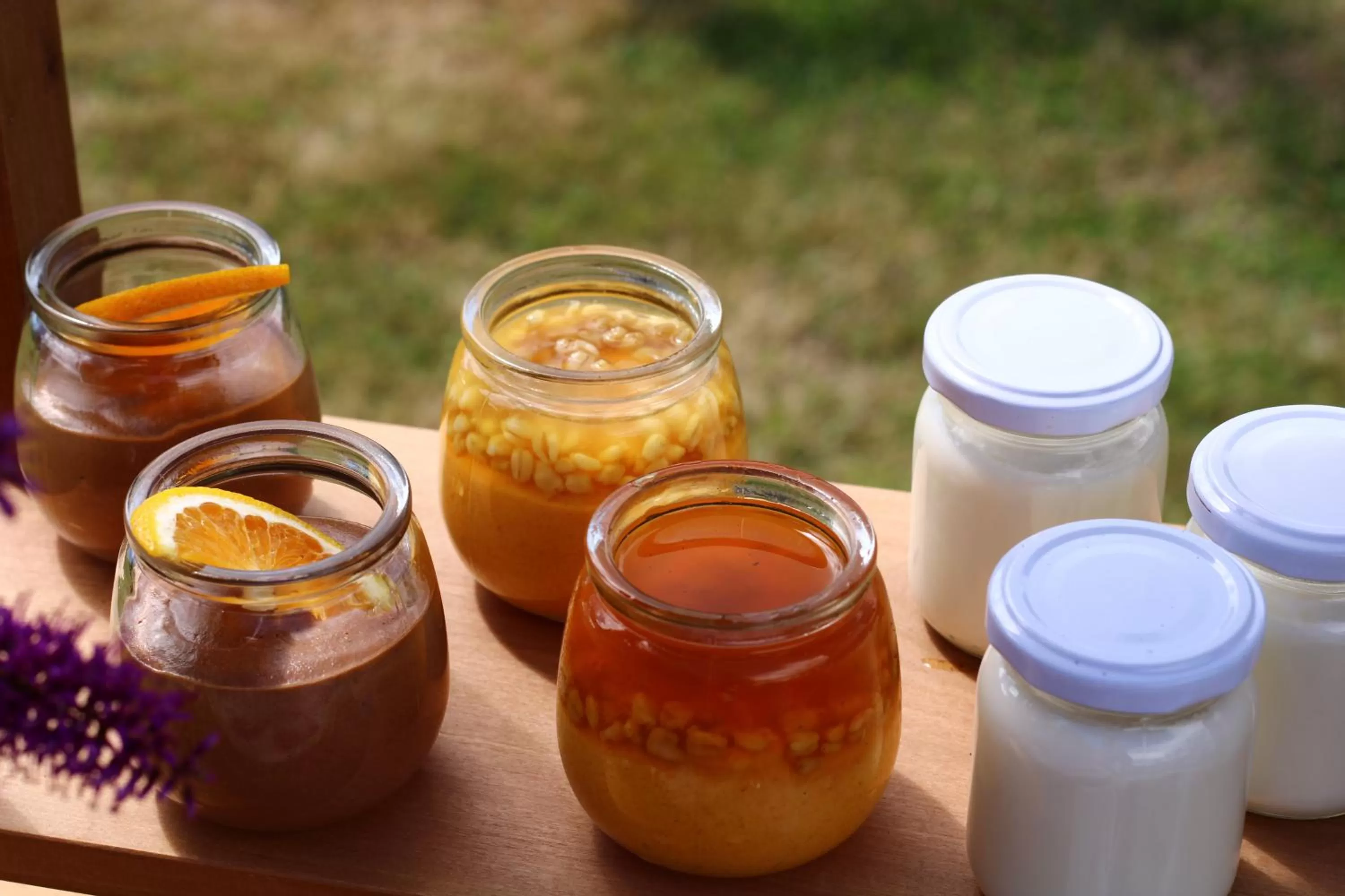 Restaurant/places to eat in Hotel Boutique Casa Werner