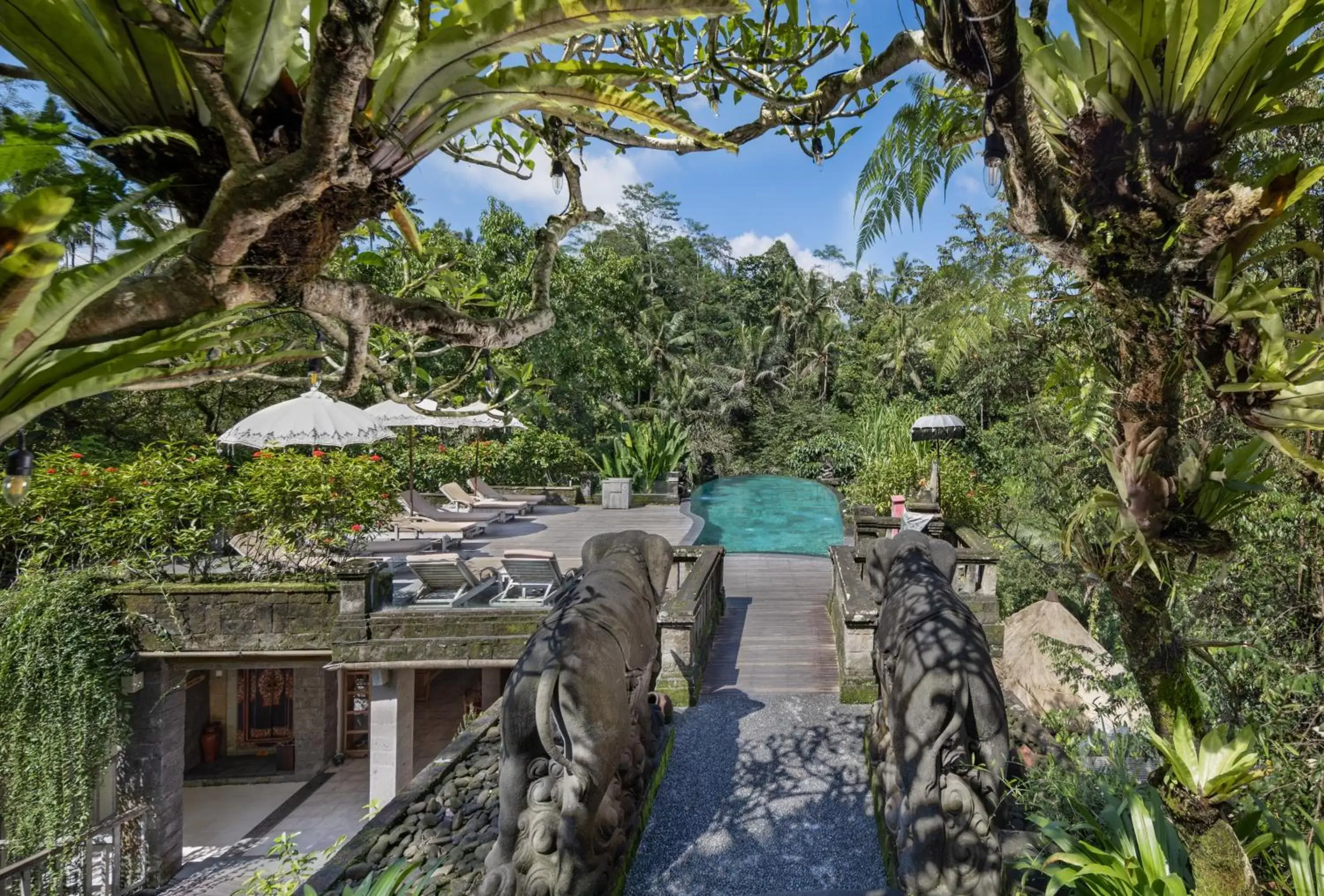 View (from property/room) in The Kayon Resort