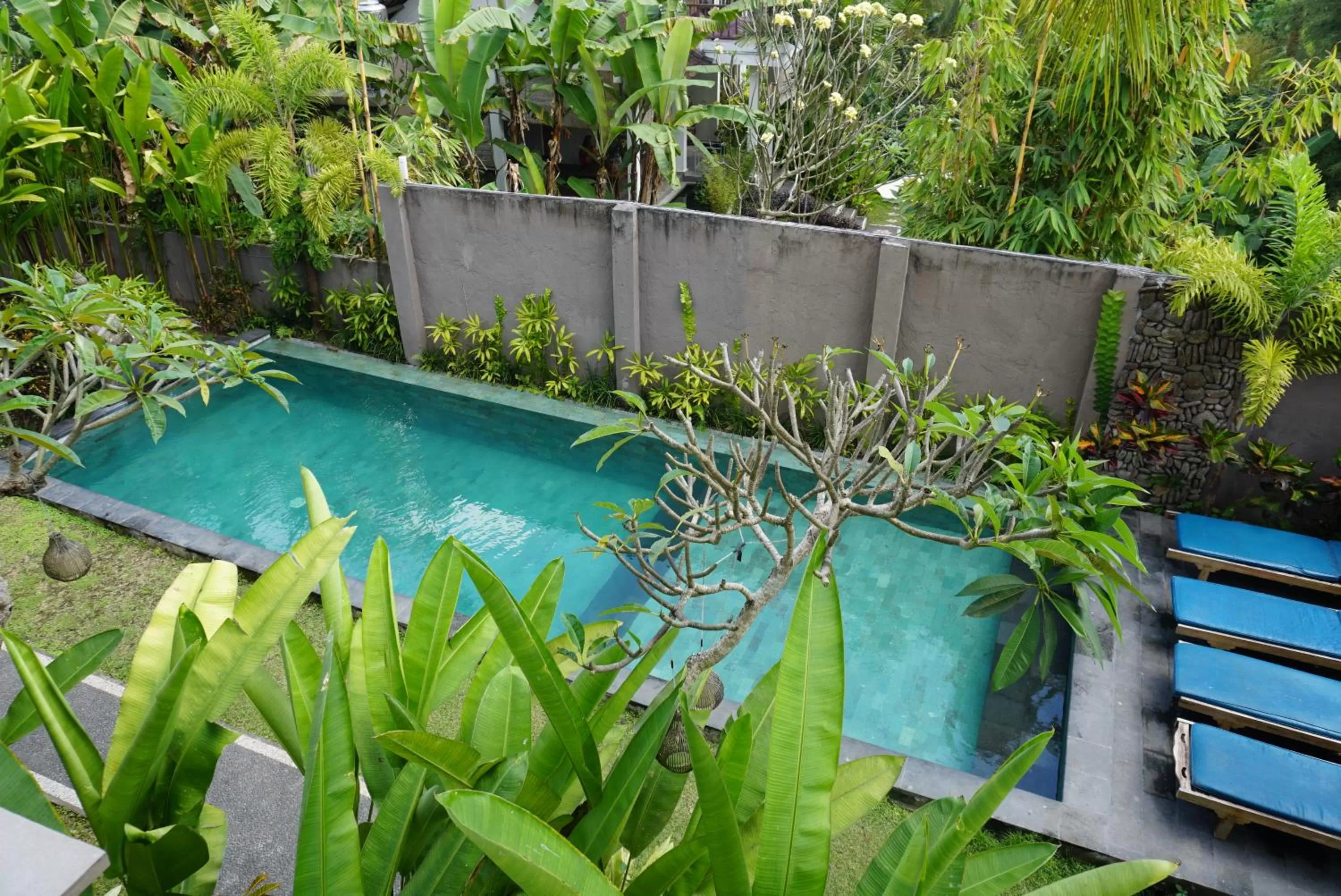 Swimming pool in Bali Sila Bisma