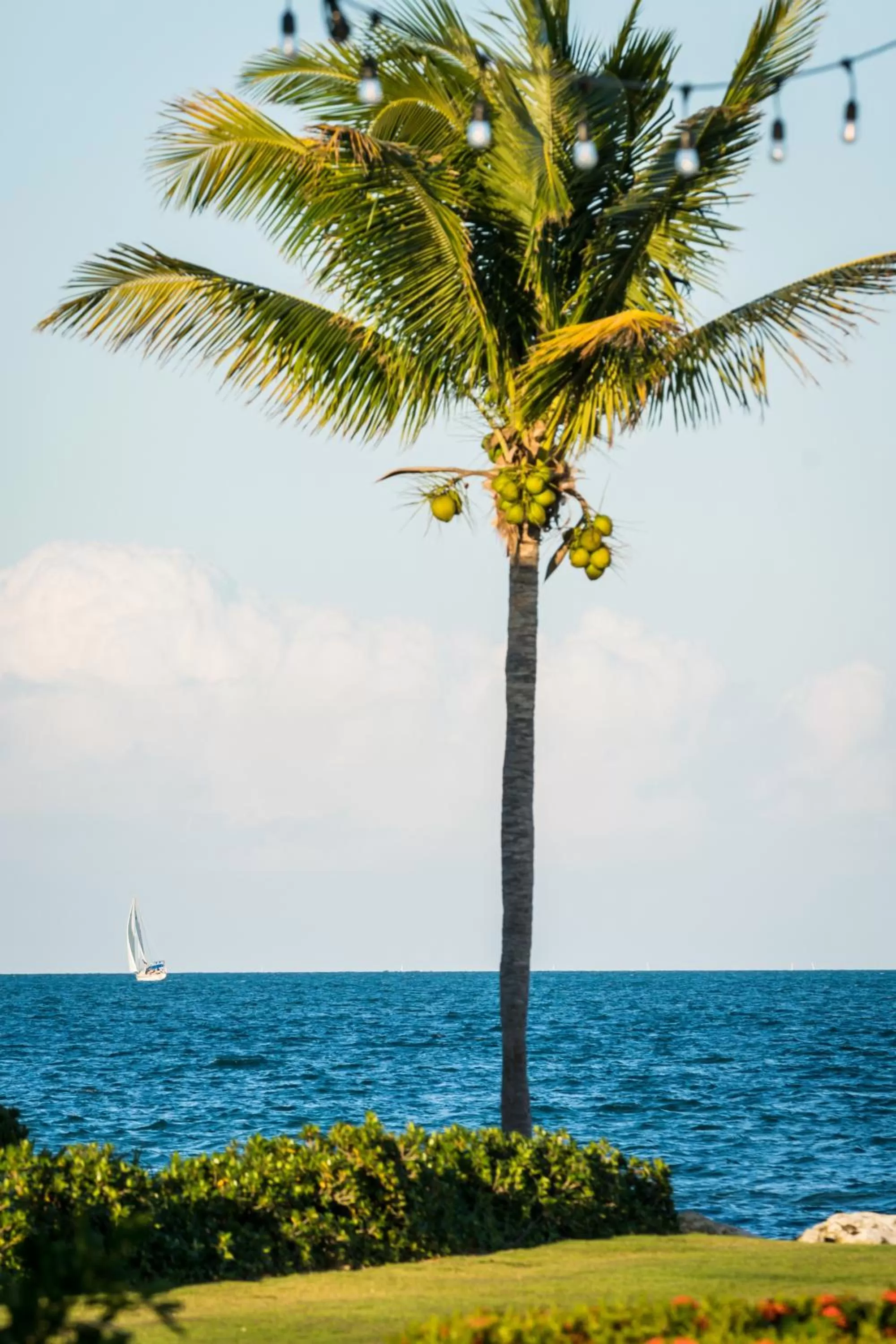 Day in The Grand Caymanian Resort