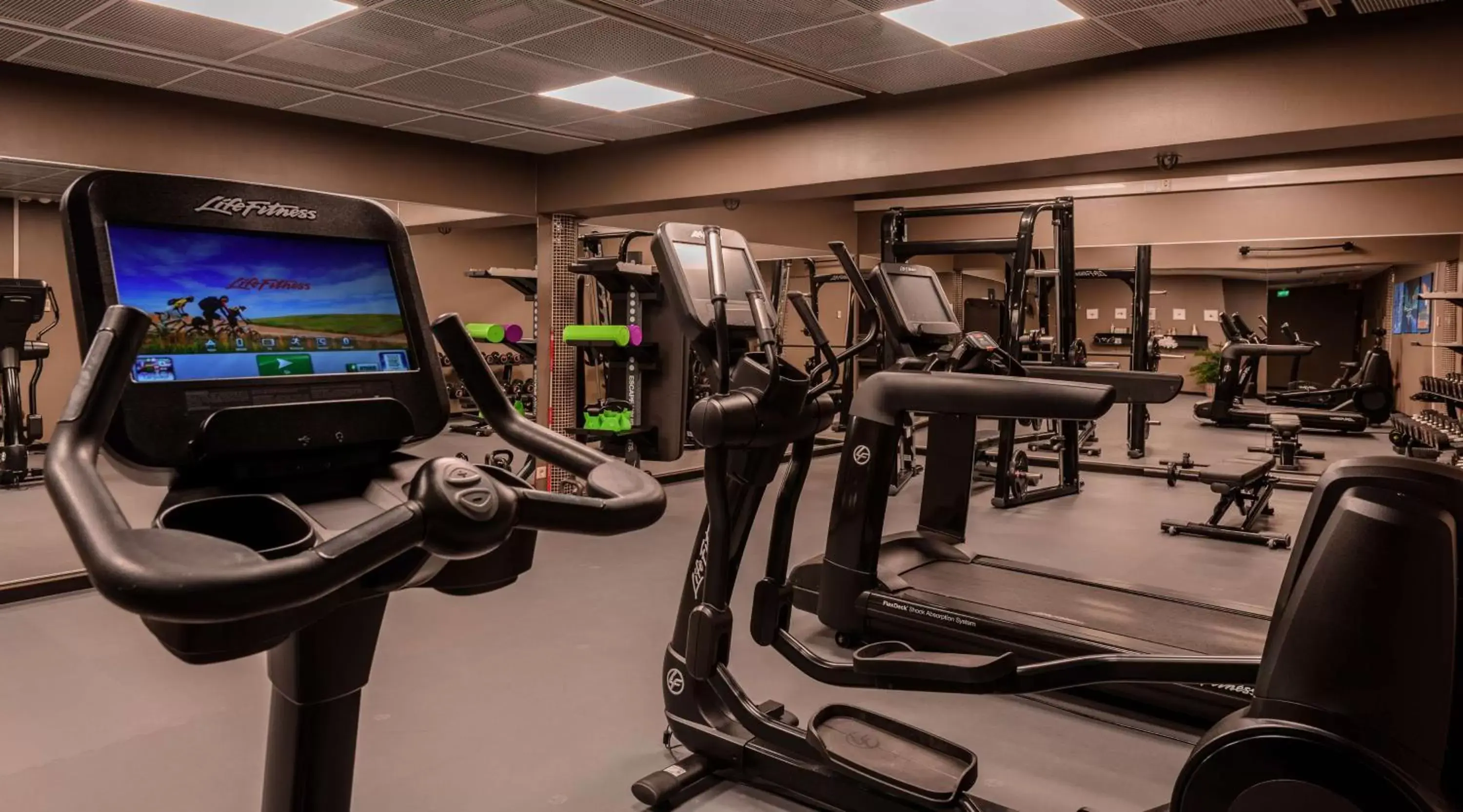 Activities, Fitness Center/Facilities in Radisson Blu Marina Palace Hotel, Turku