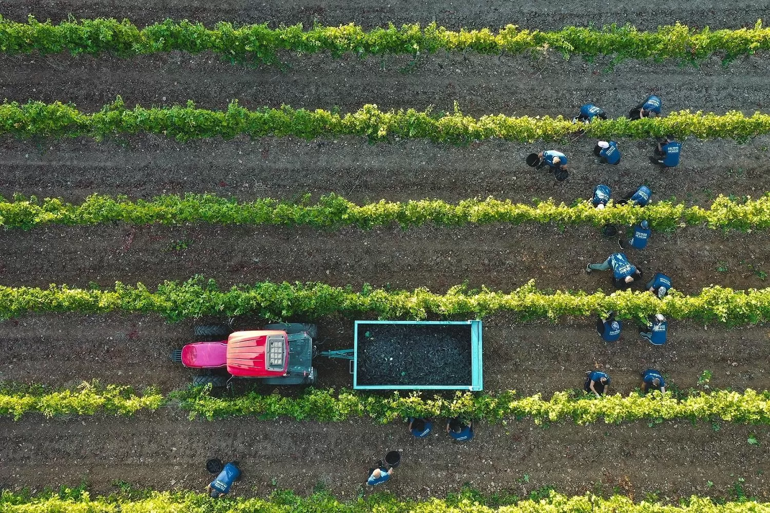 View (from property/room) in Château de Berne