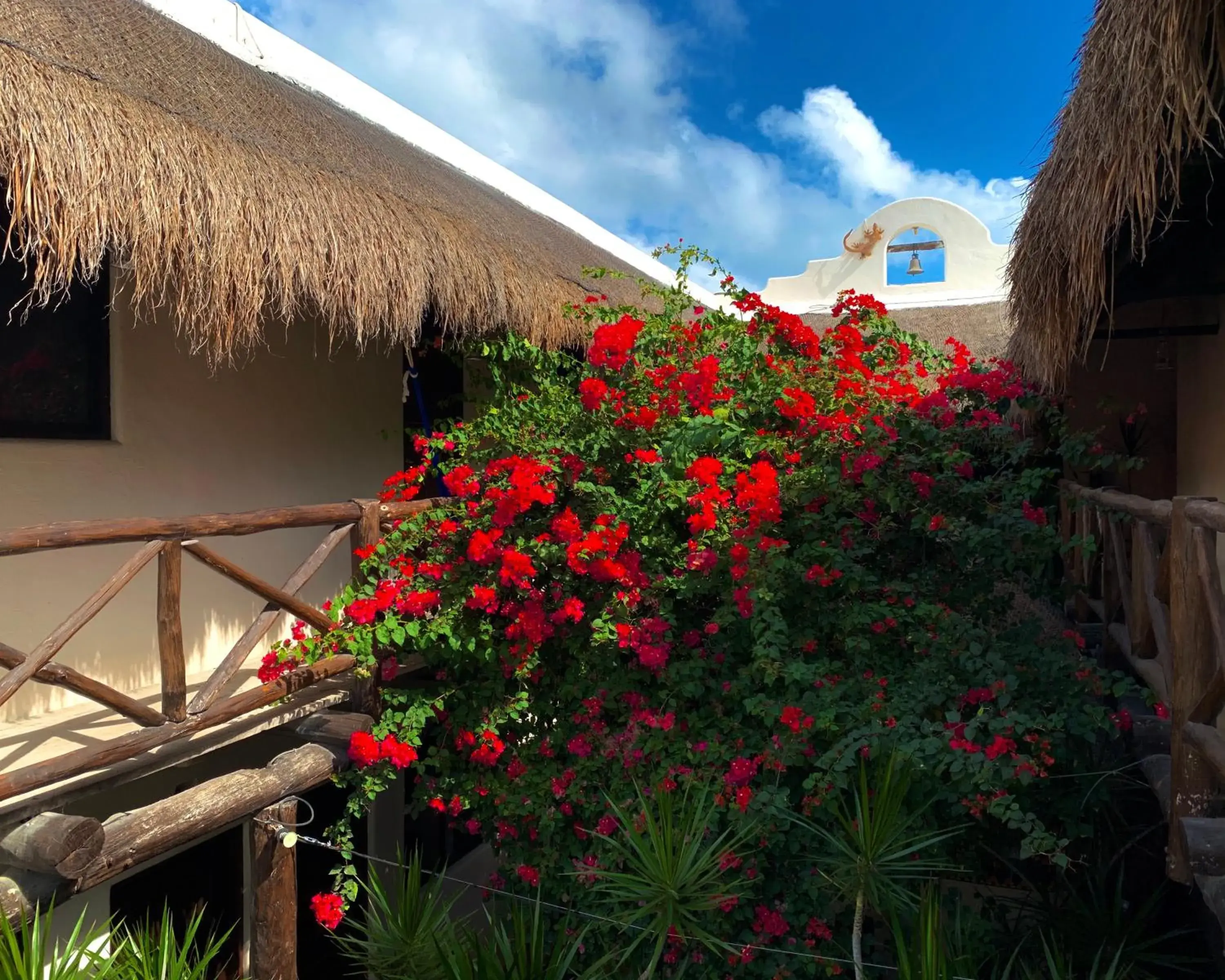 Property Building in Lo Nuestro Petit Hotel Tulum