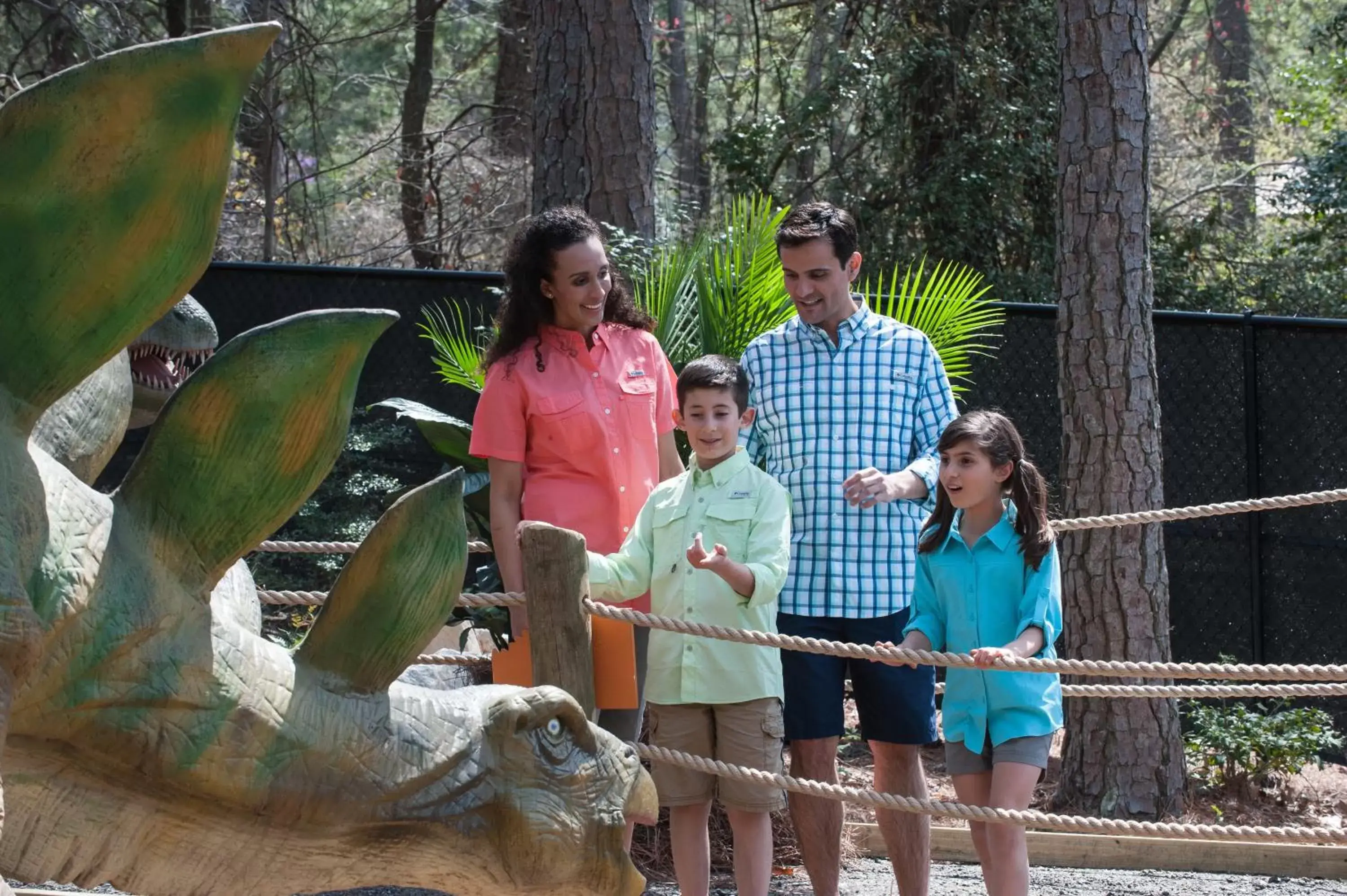 Activities in The Inn at Stone Mountain Park