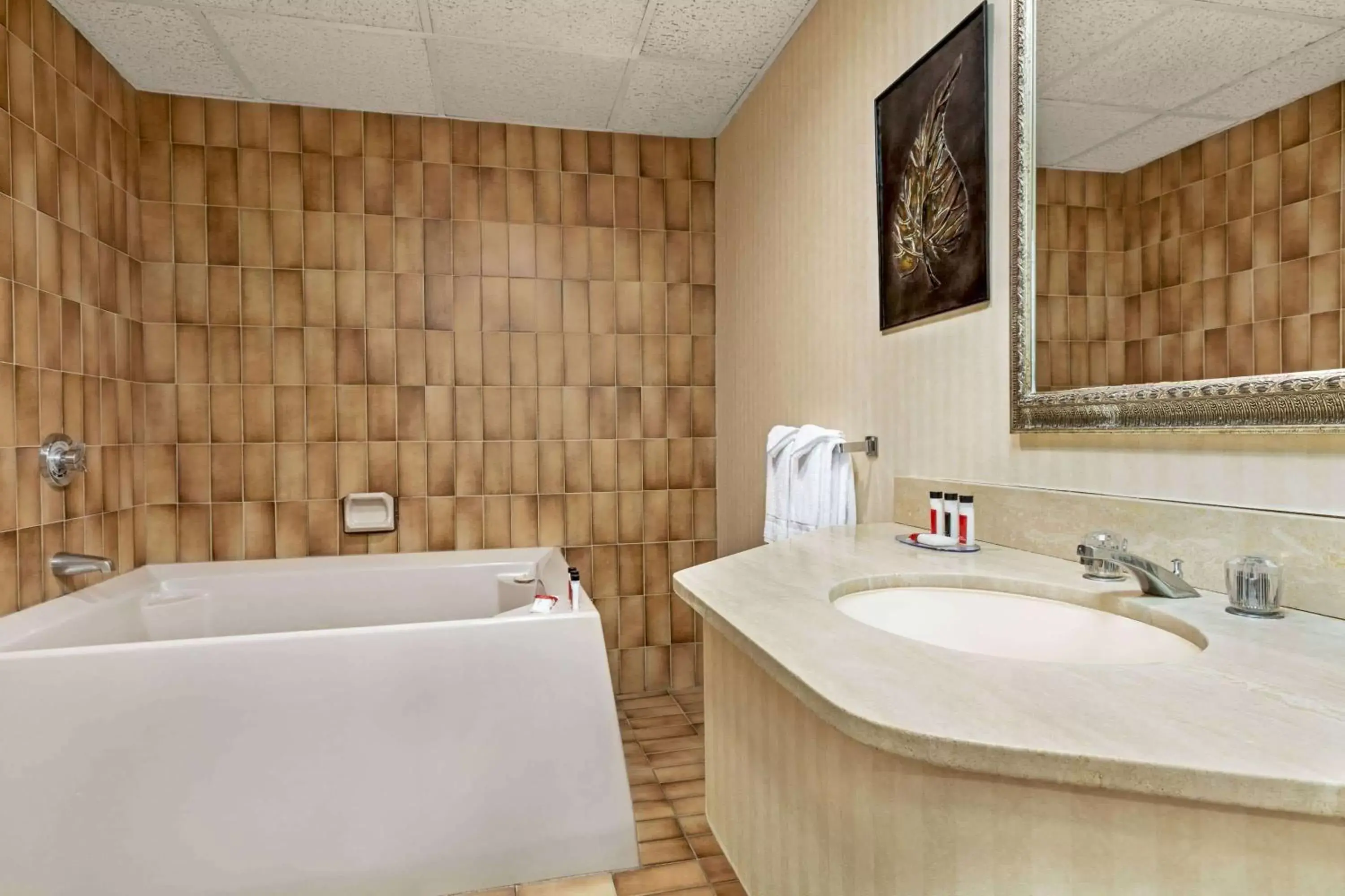 Bathroom in Ramada by Wyndham Fredericton