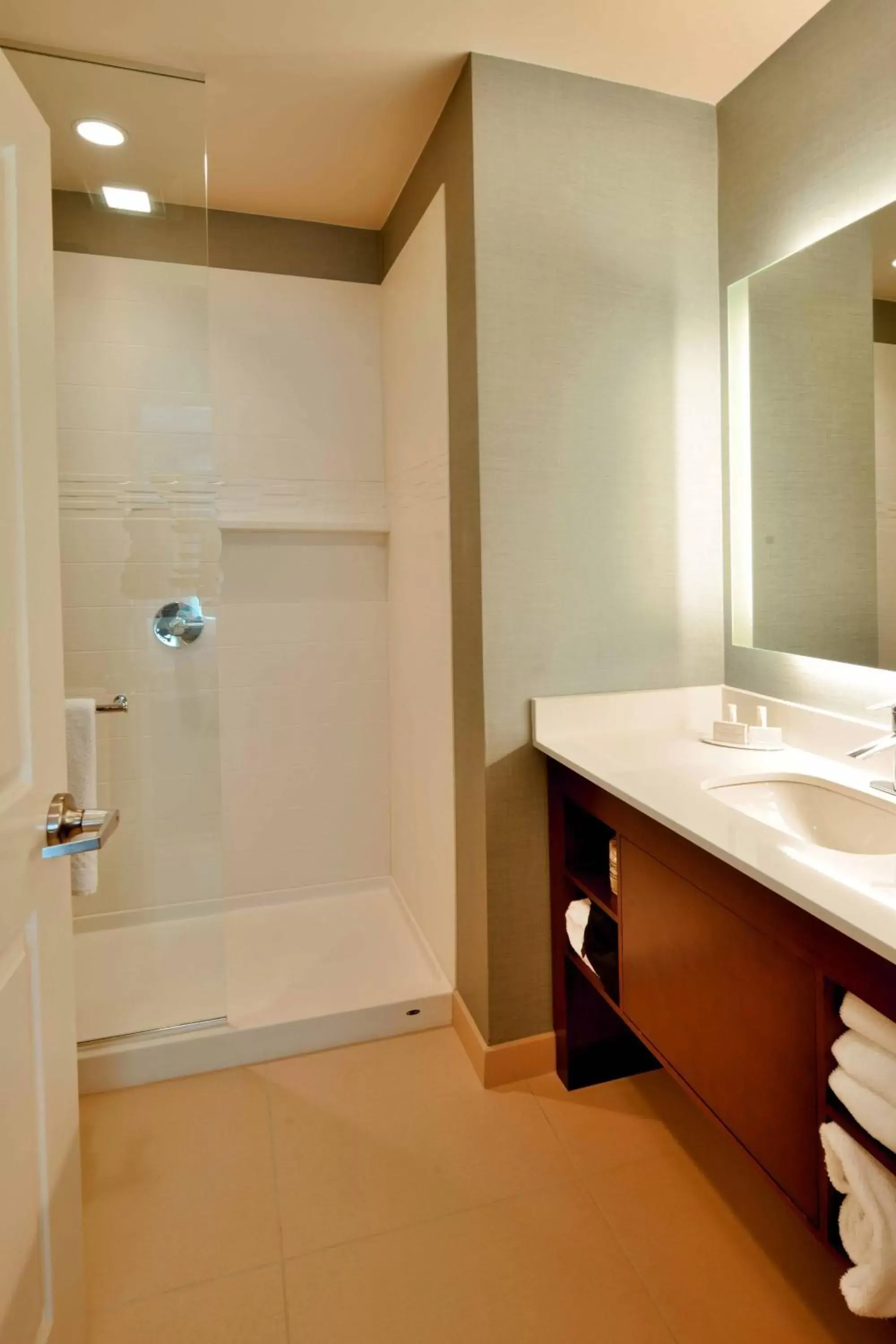 Bathroom in Residence Inn by Marriott Omaha Aksarben Village