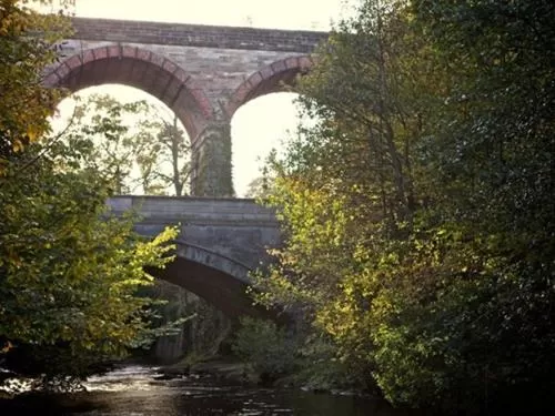 Activities in The Sun Inn