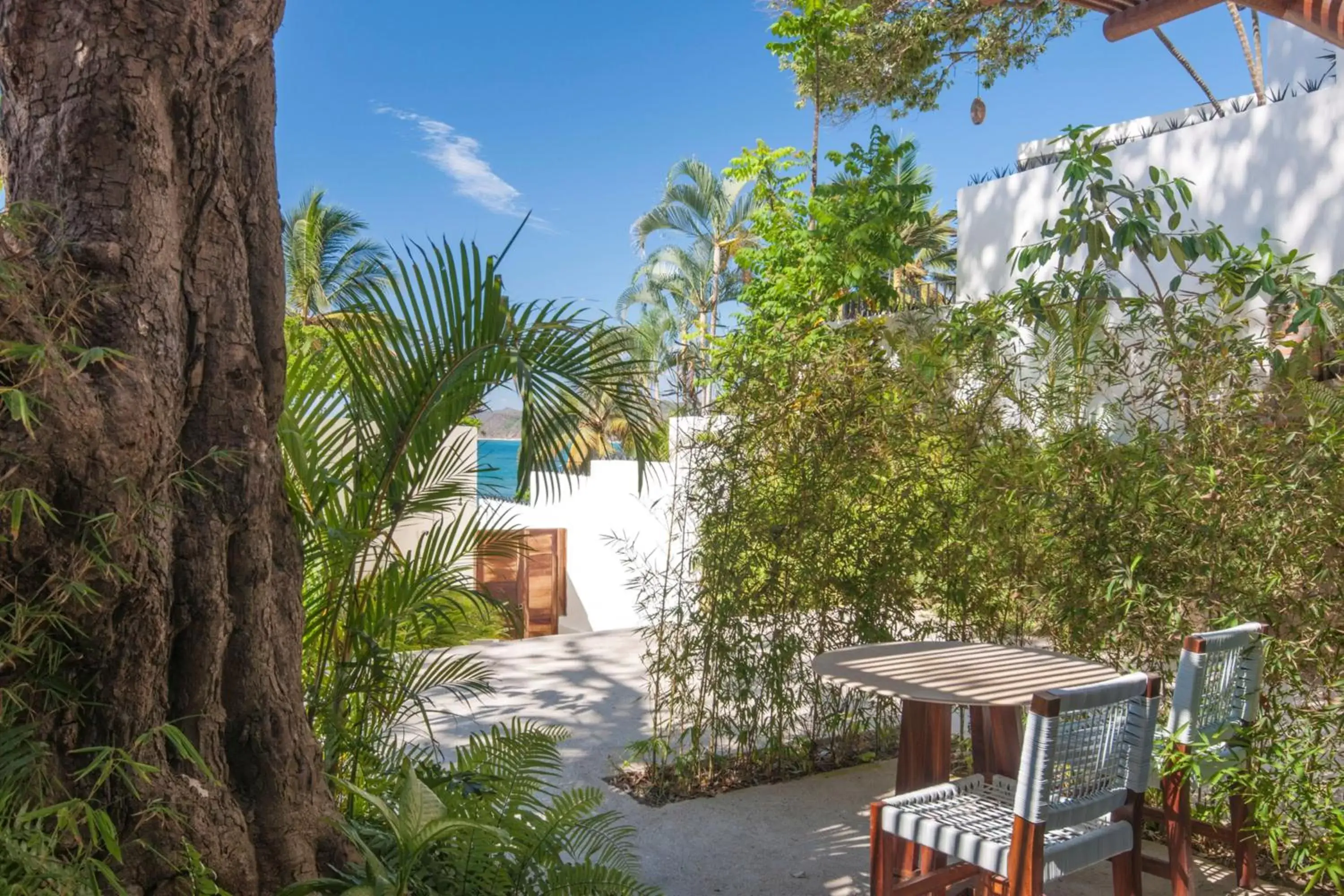 Garden view in Hotel Ysuri Sayulita