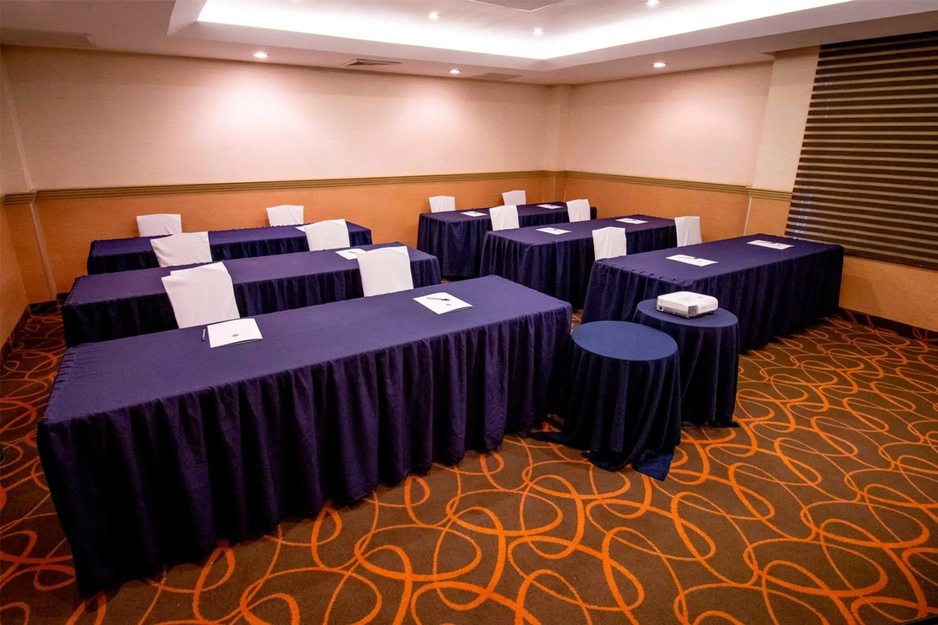 Meeting/conference room in Araiza Palmira Hotel y Centro de Convenciones