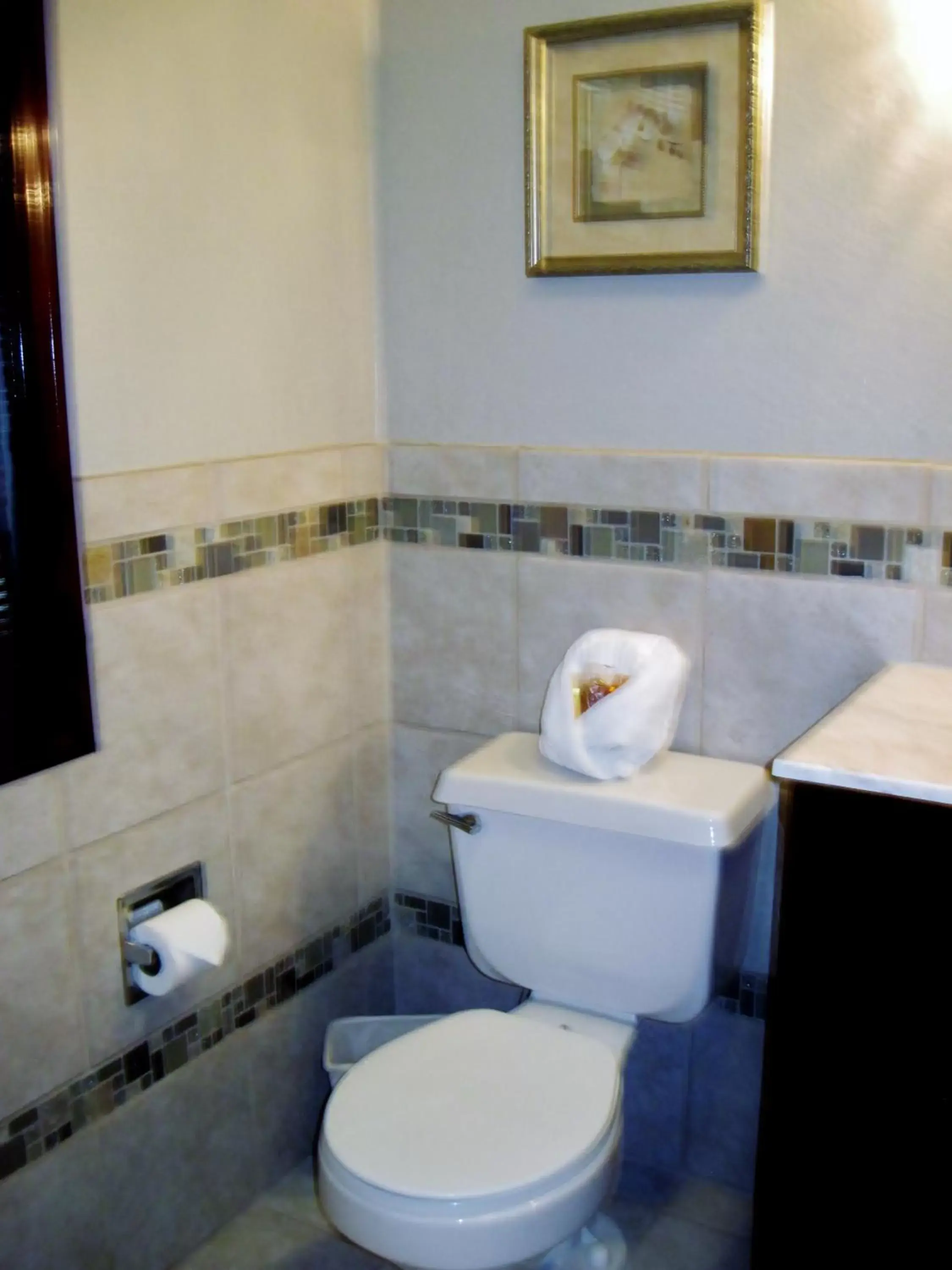 Toilet, Bathroom in The North Shore Inn