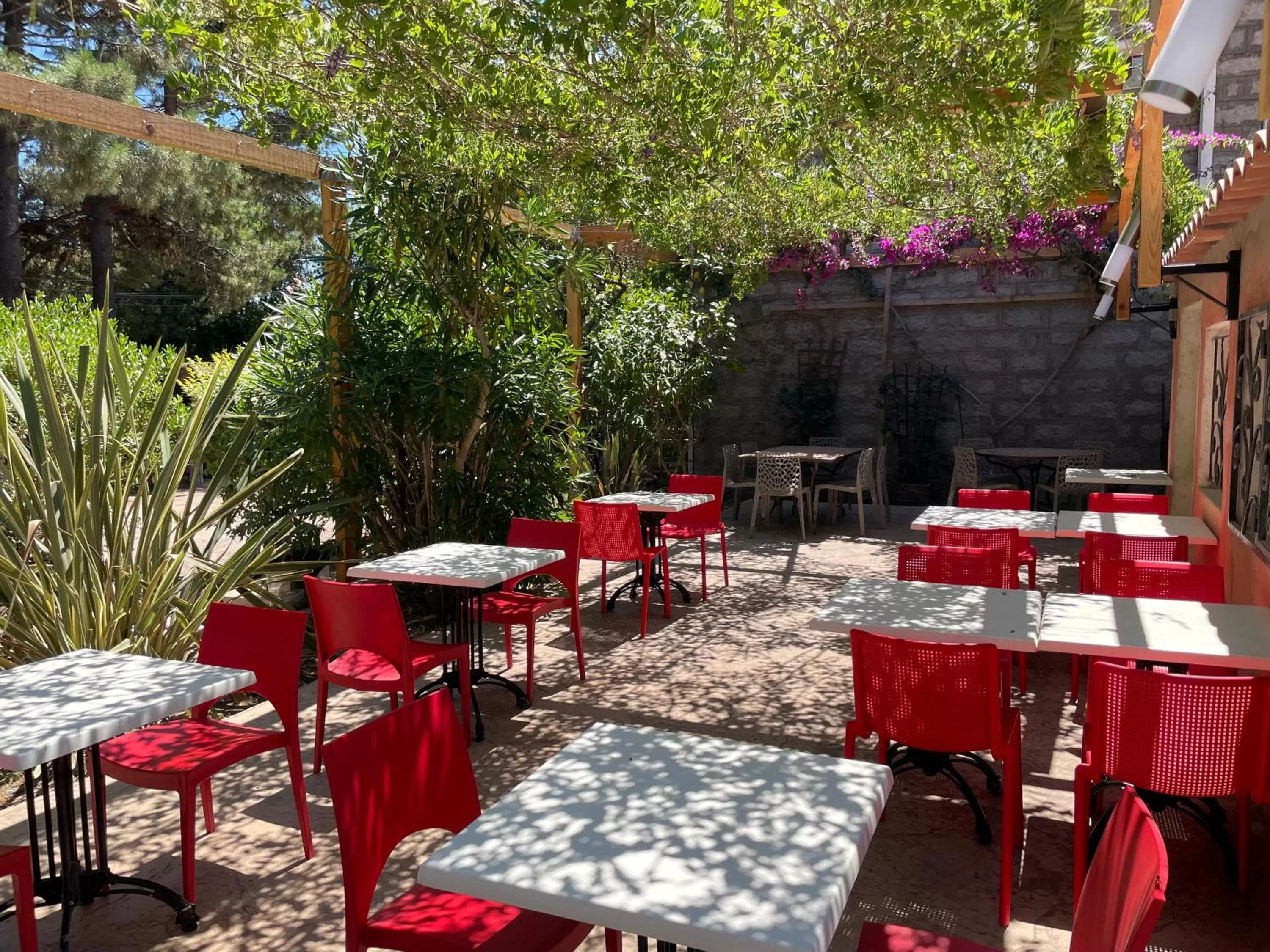 Restaurant/Places to Eat in Restaurant - Chambres d'Hôtes Terra Bella Lecci