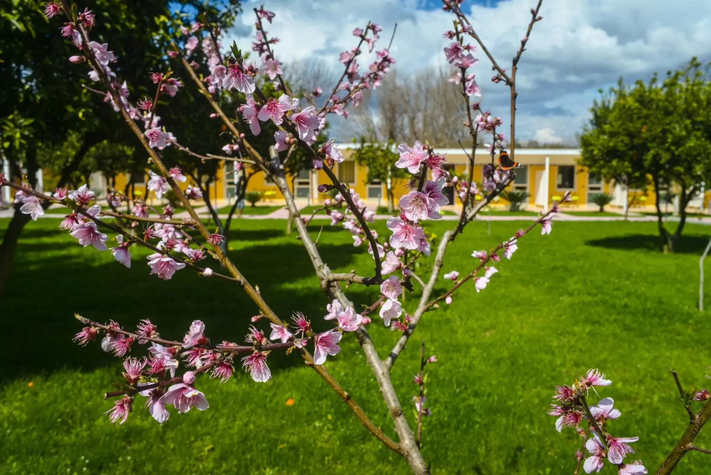 Garden in Resort & Winery Bosco De Medici