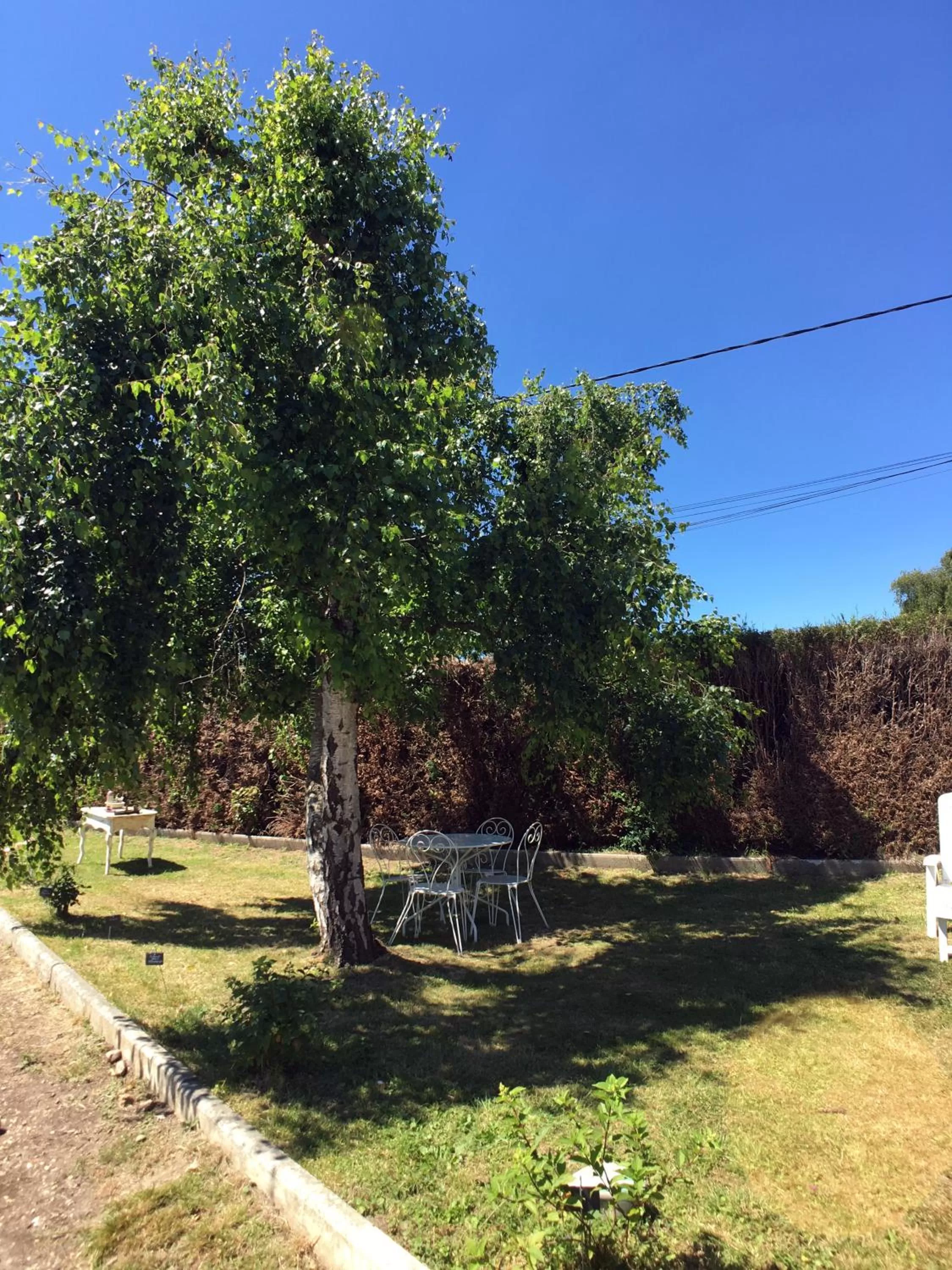 Garden view in La Romance et la Romanesque