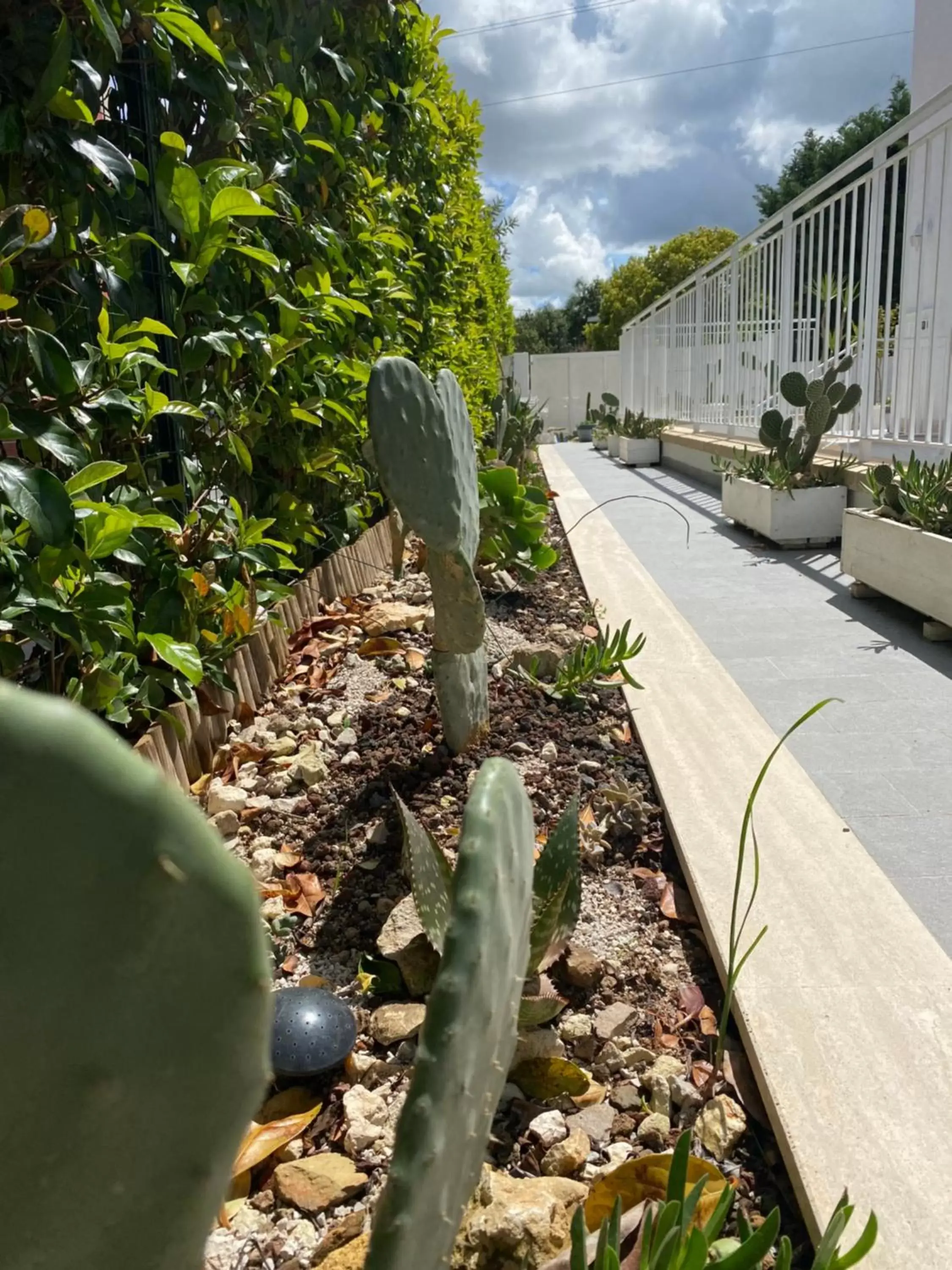 Garden in La casa di Nina