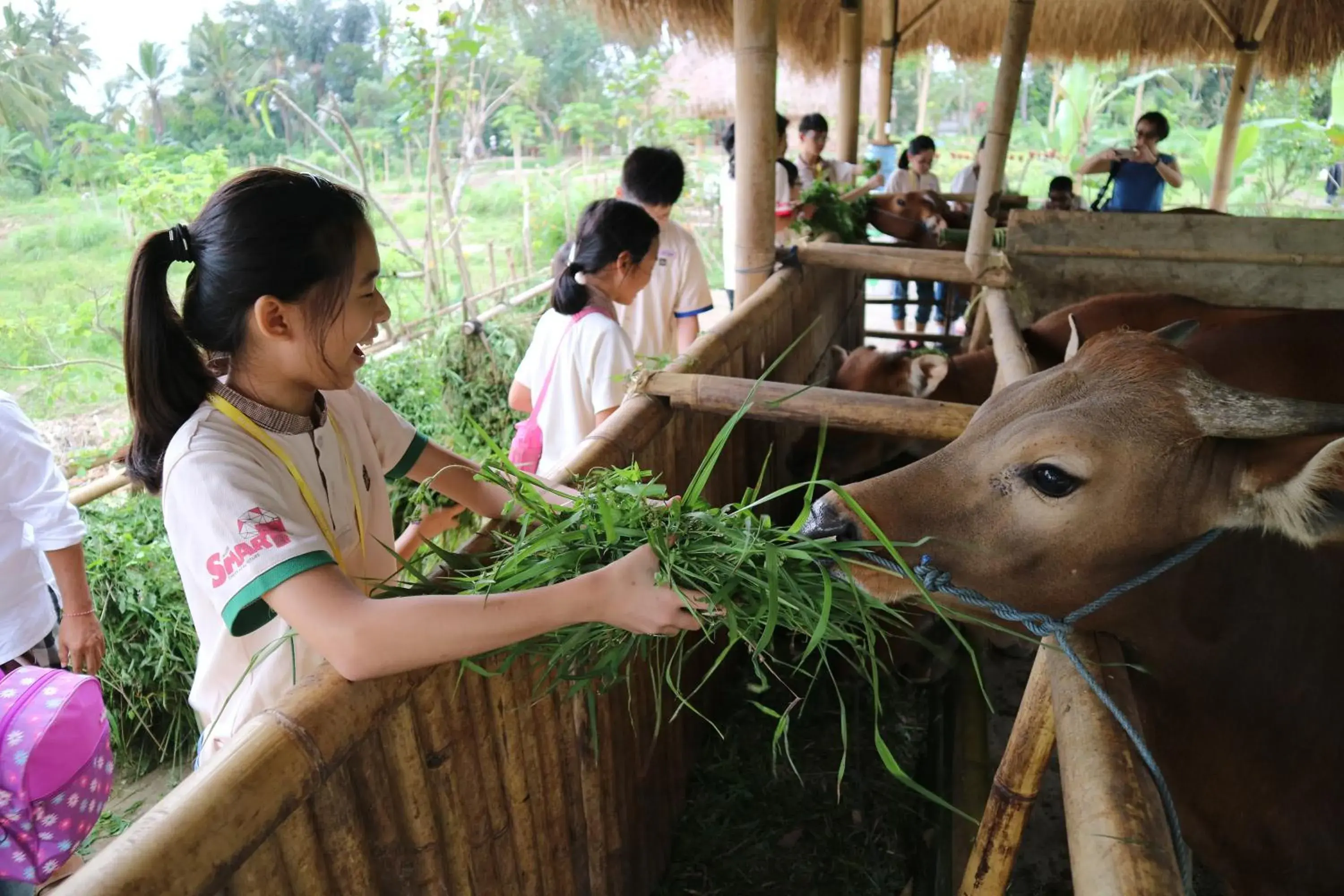 Animals in Visesa Ubud Resort